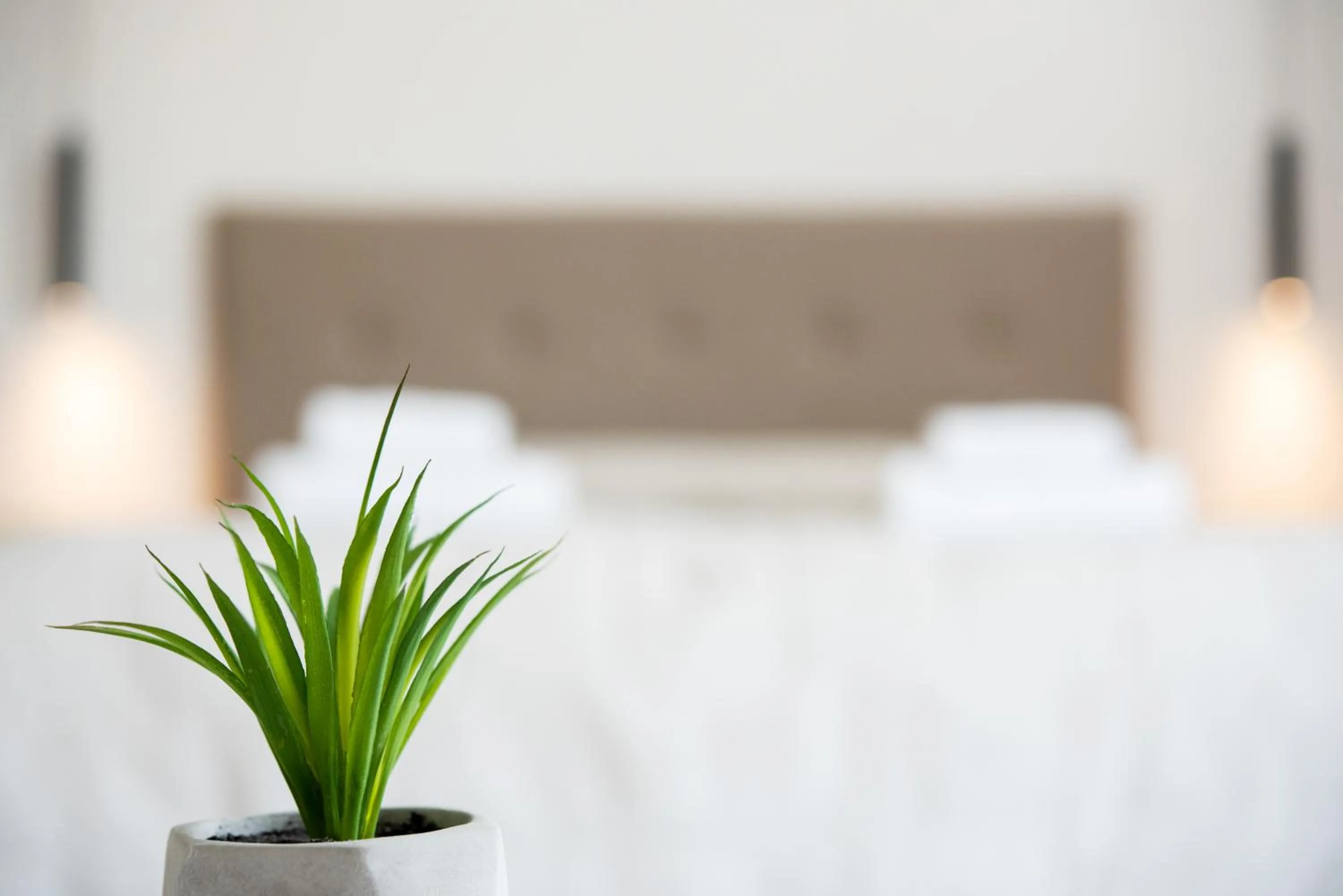 Bed in Terinikos Sunny Garden Hotel & Junior Suites