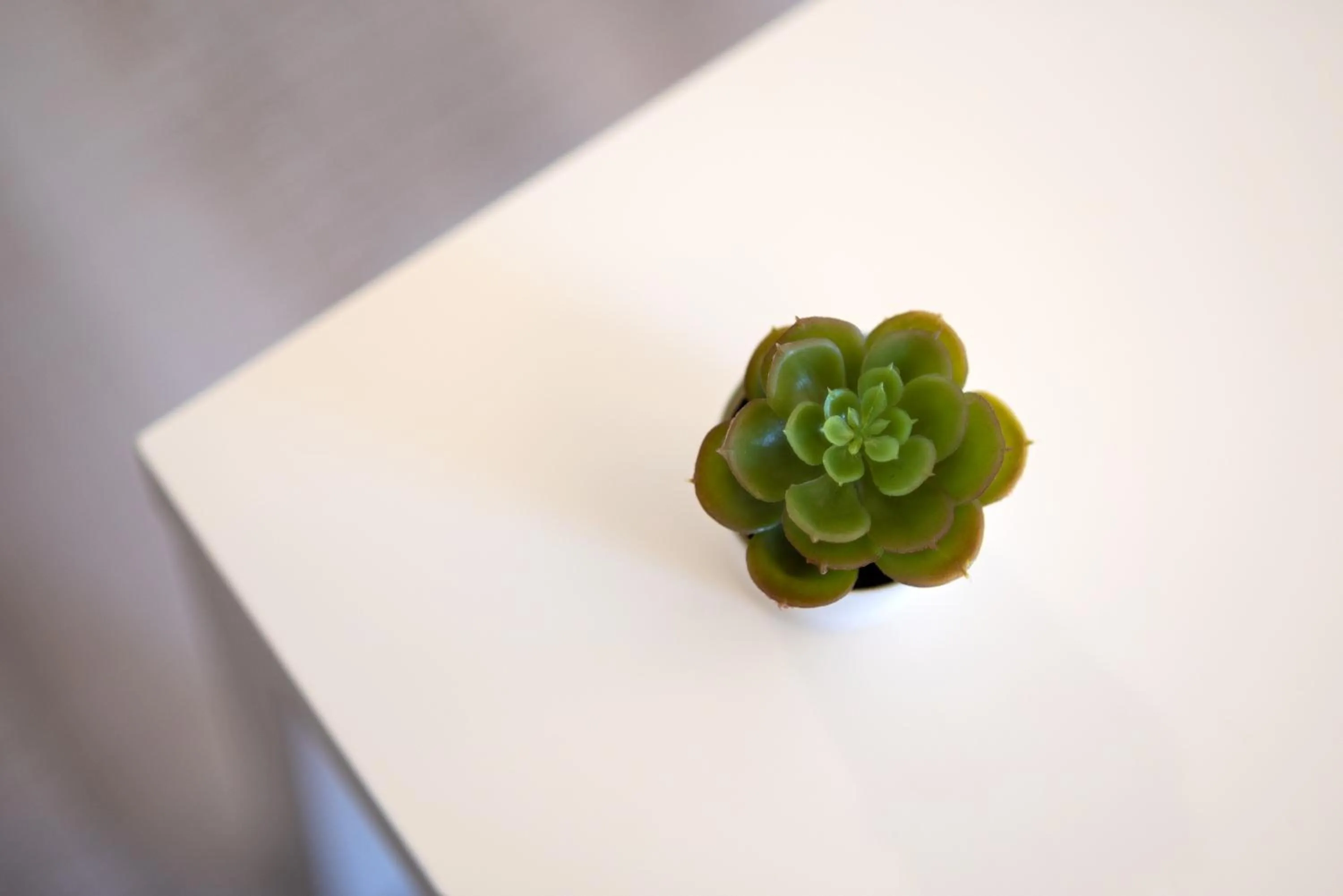 Decorative detail in Terinikos Sunny Garden Hotel & Junior Suites