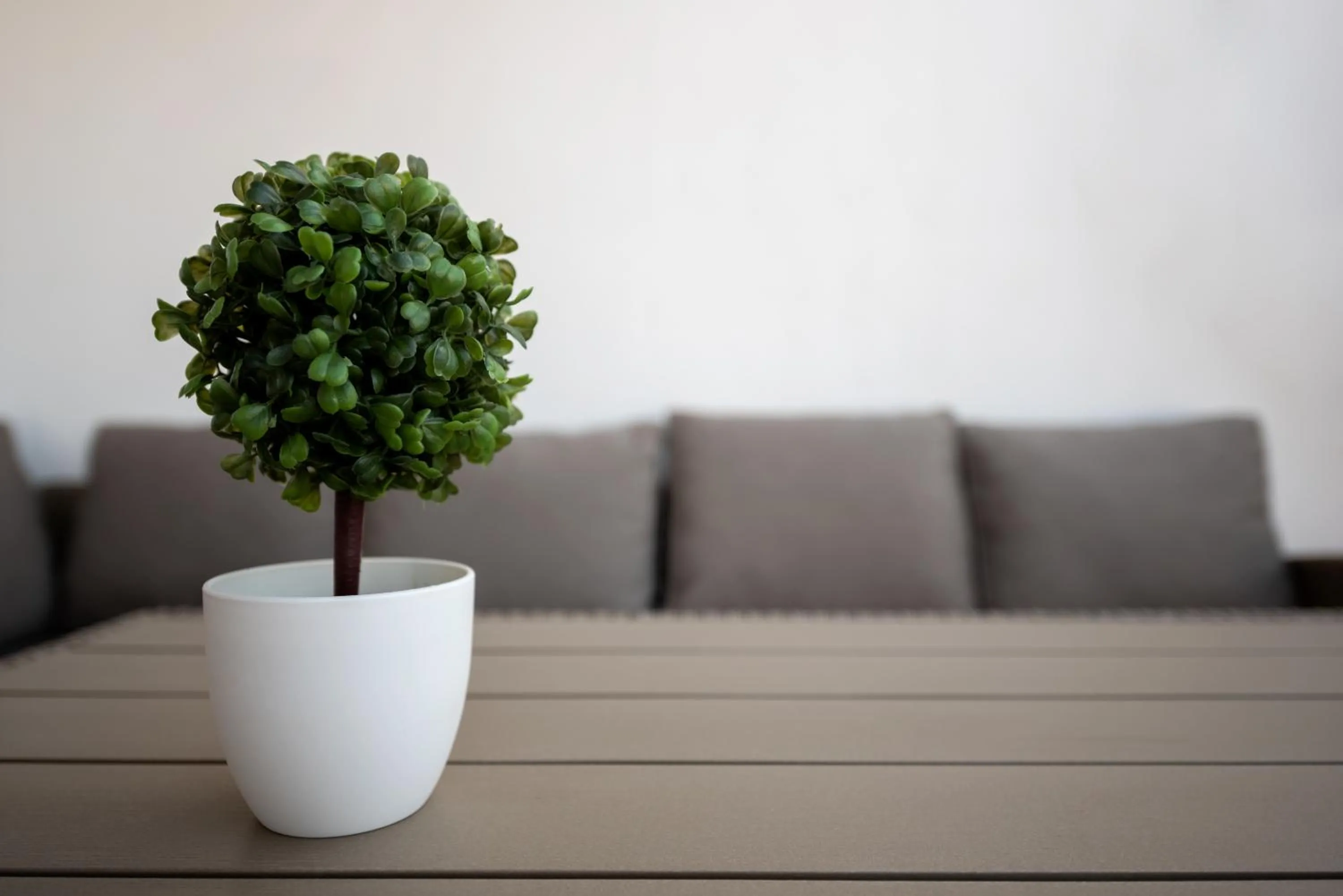 Balcony/Terrace in Terinikos Sunny Garden Hotel & Junior Suites