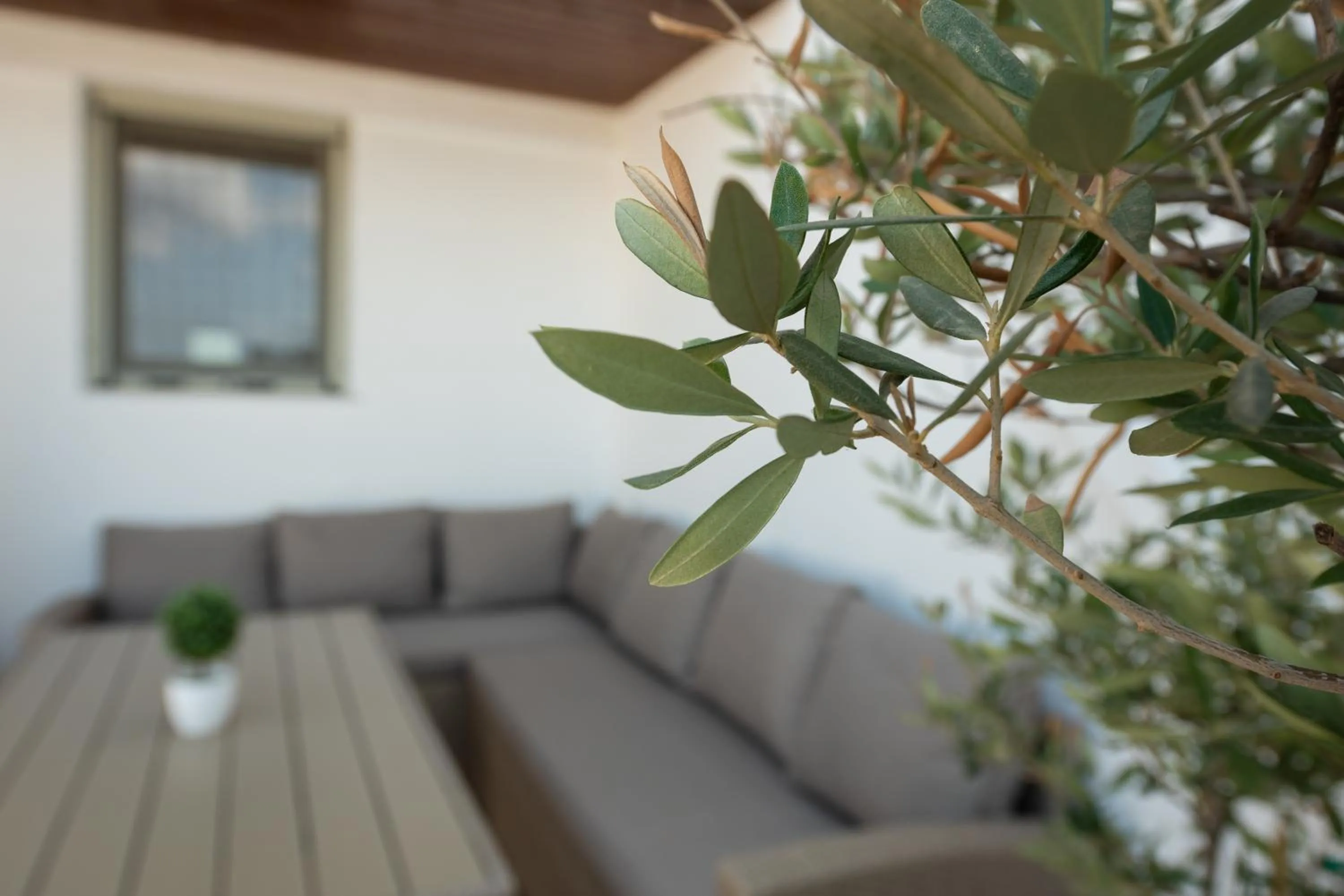 Balcony/Terrace in Terinikos Sunny Garden Hotel & Junior Suites