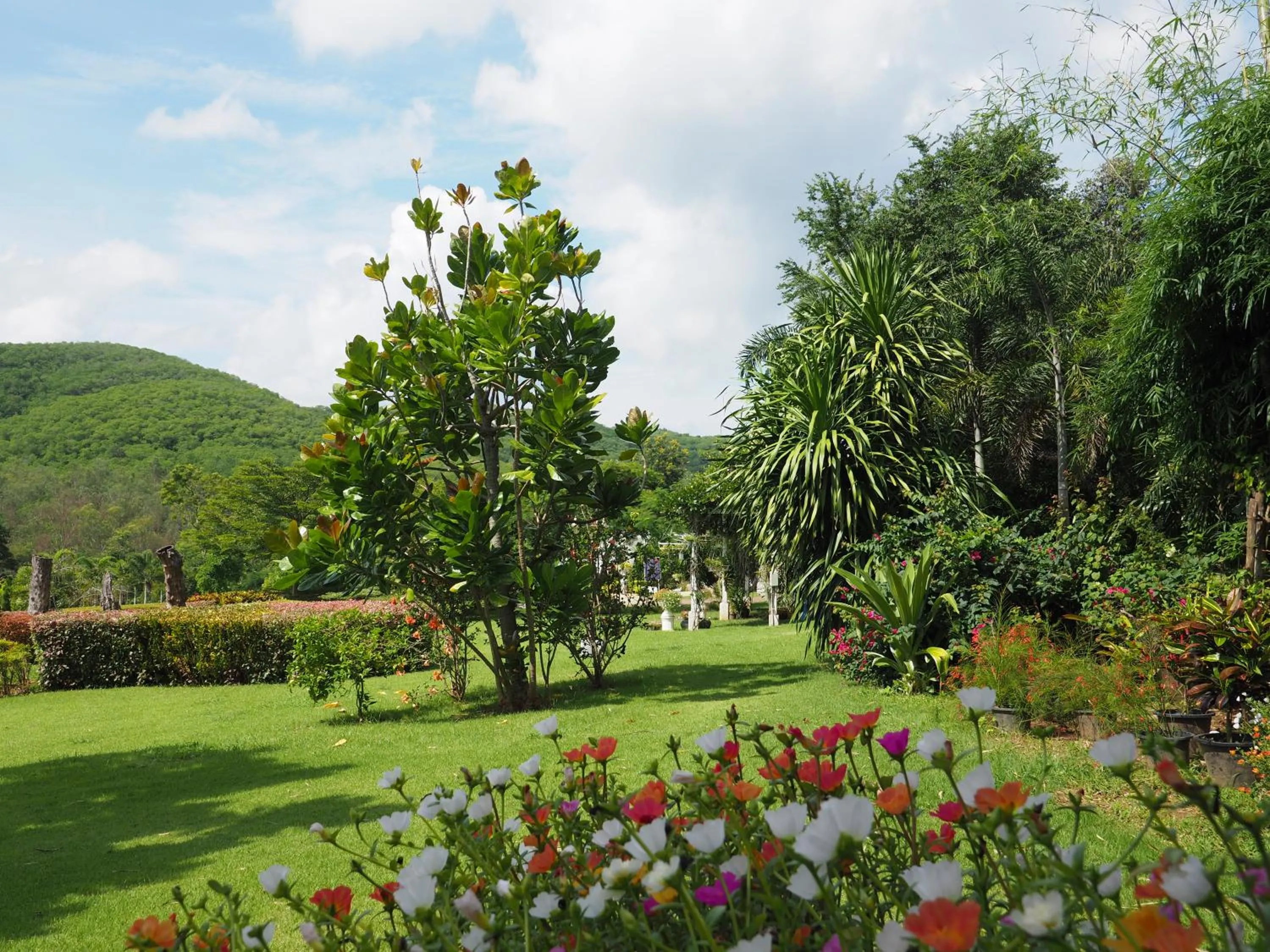 Natural landscape in Baan Ing Khao