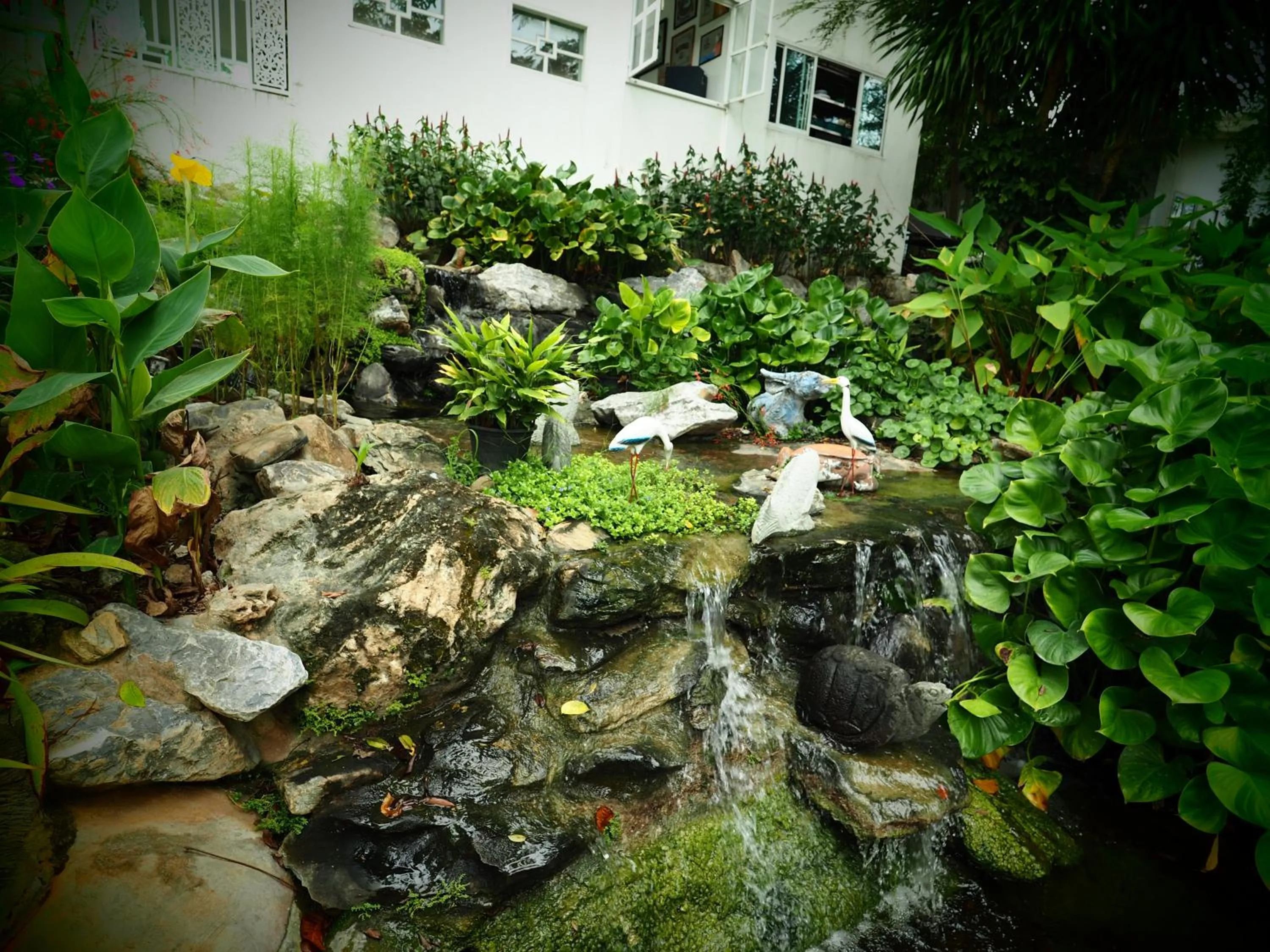 Garden in Baan Ing Khao