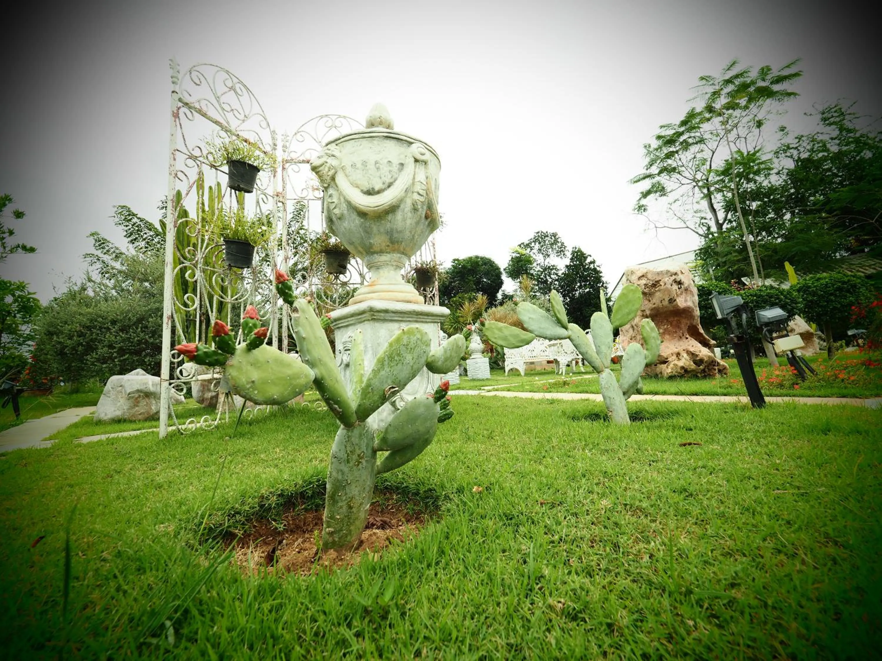 Garden in Baan Ing Khao