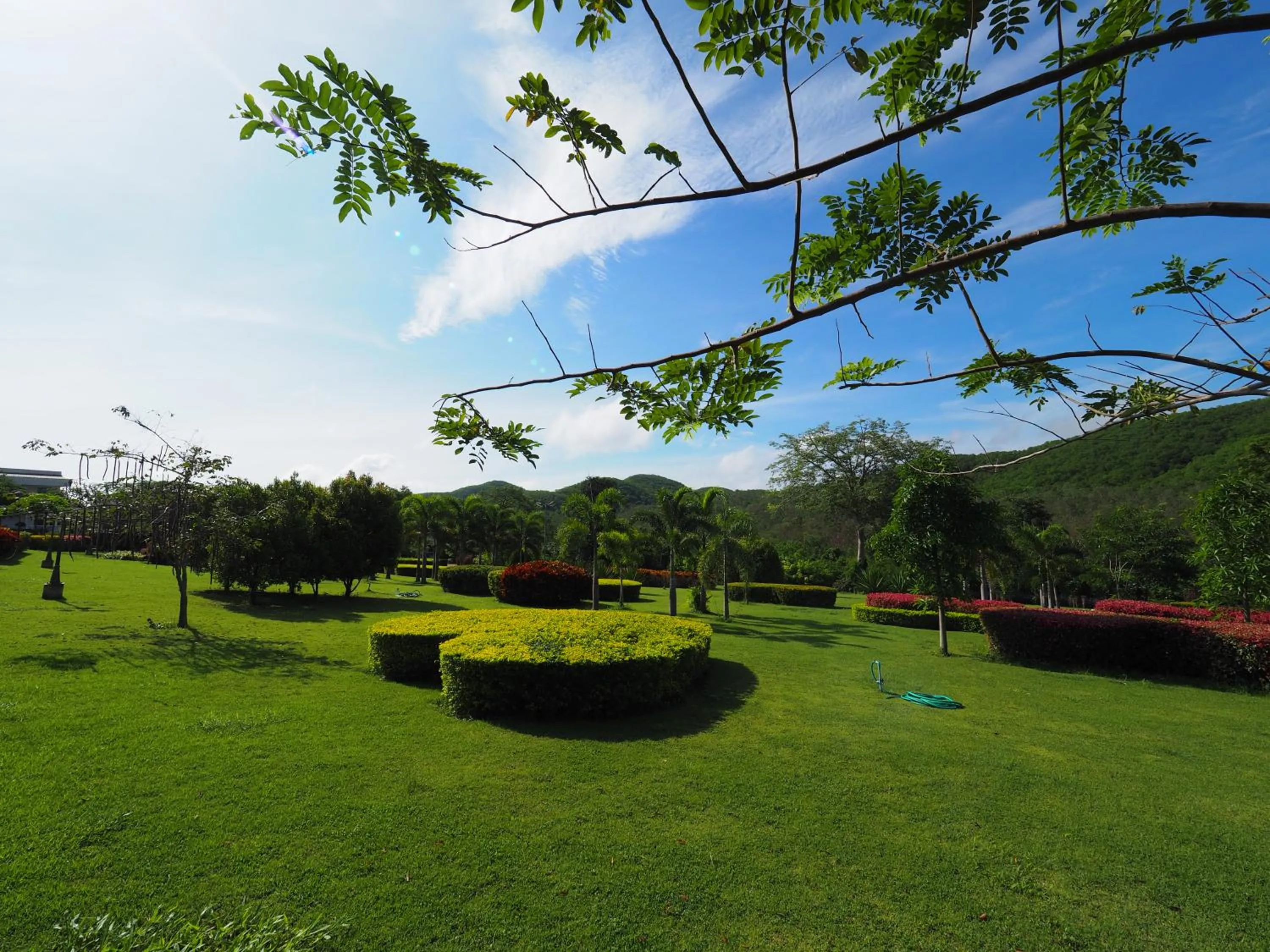 Natural landscape in Baan Ing Khao