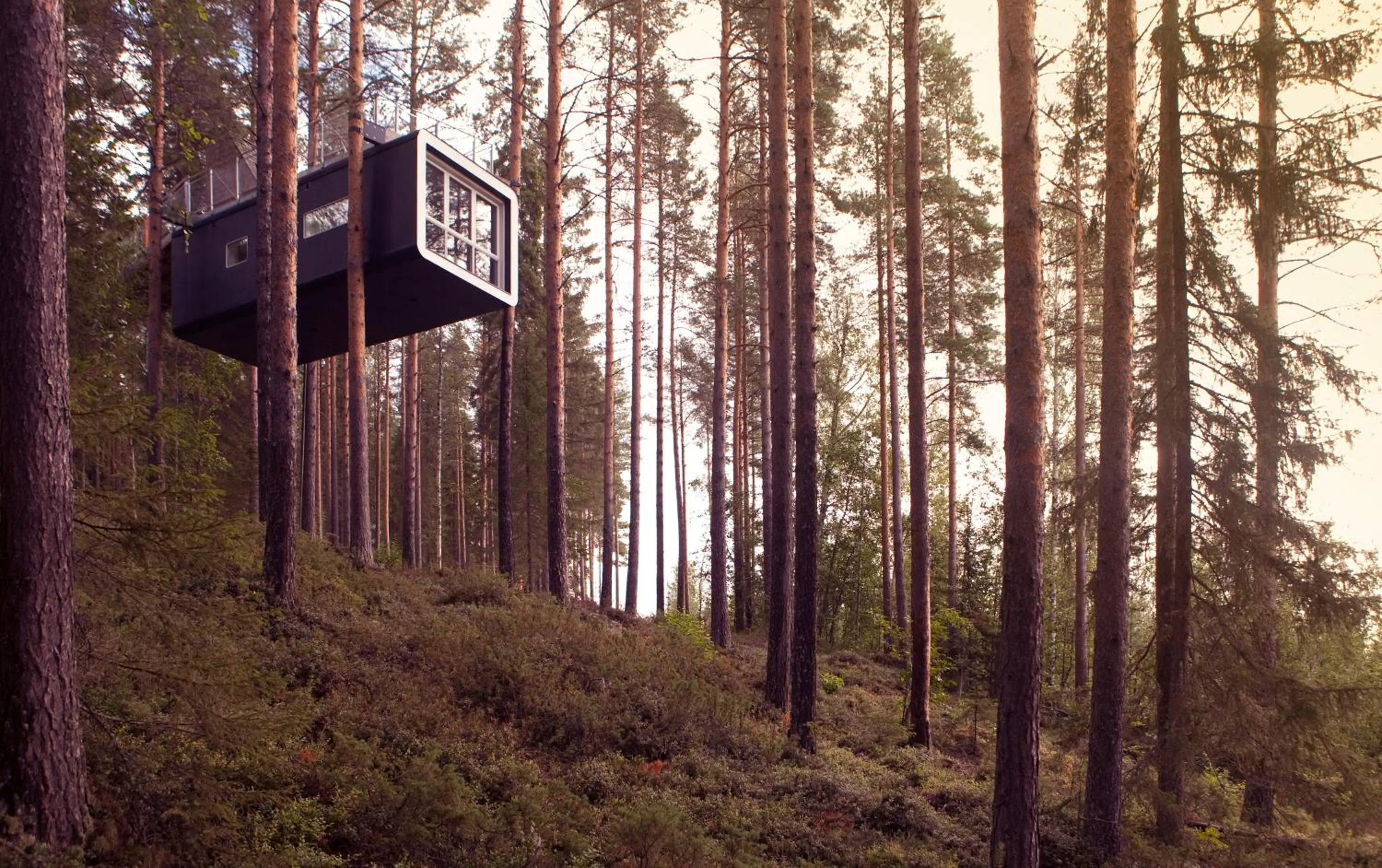 Facade/entrance in Treehotel