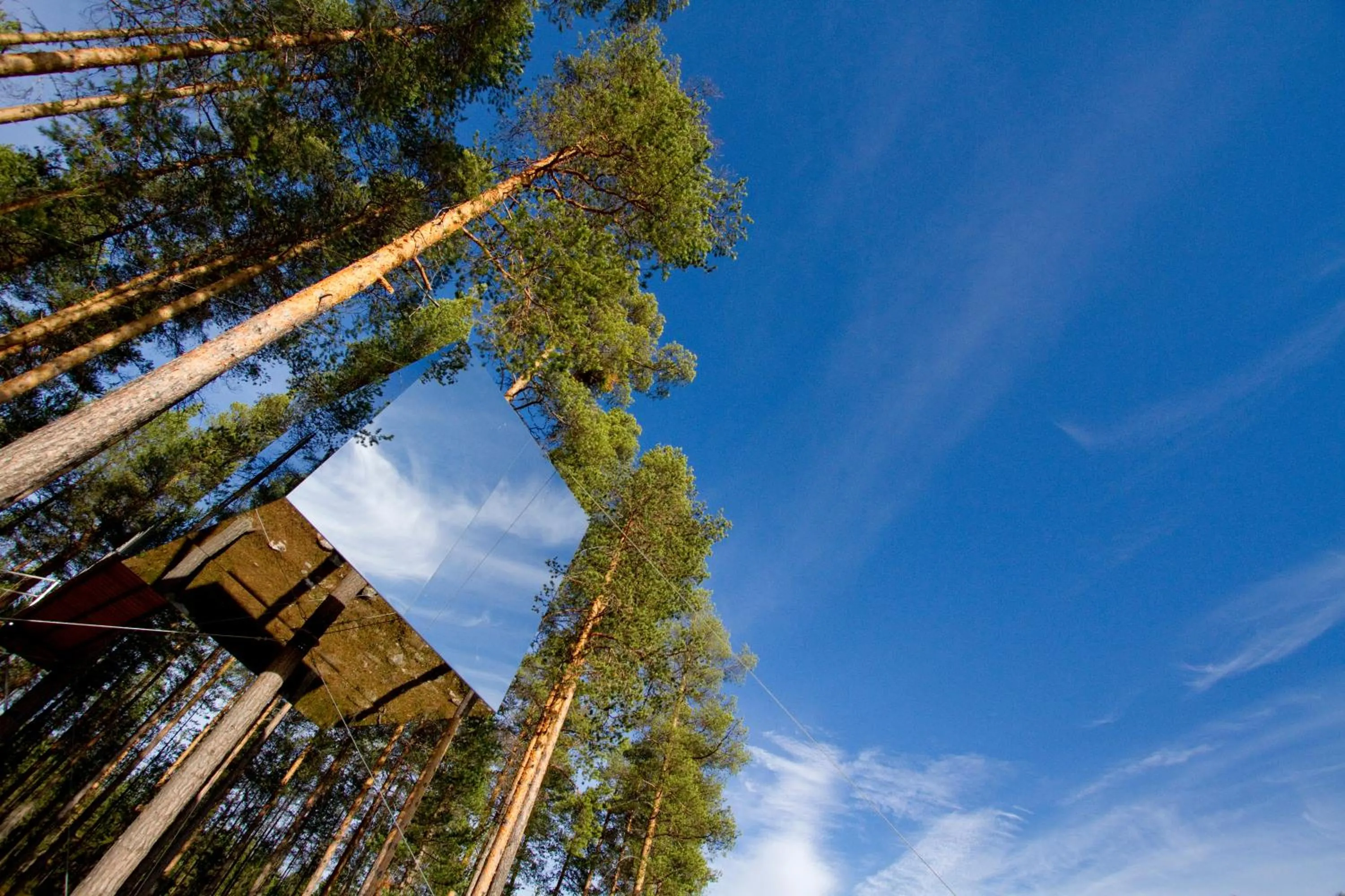 Facade/entrance in Treehotel