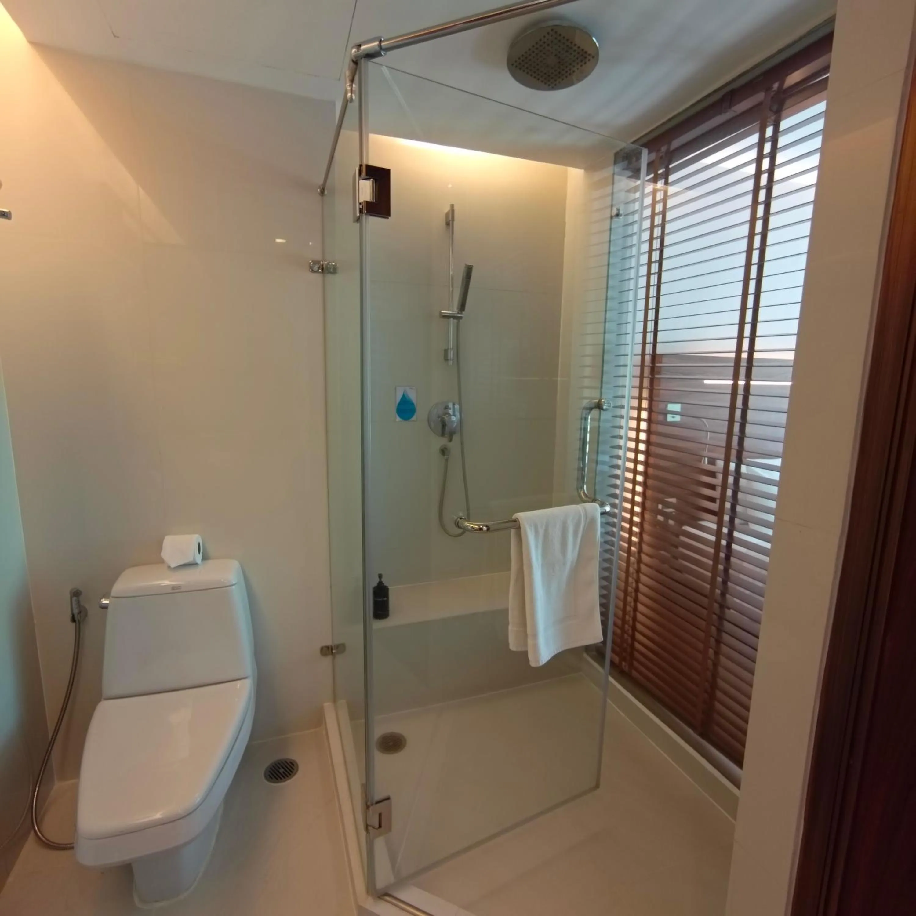 Shower in Sacha's Hotel Uno