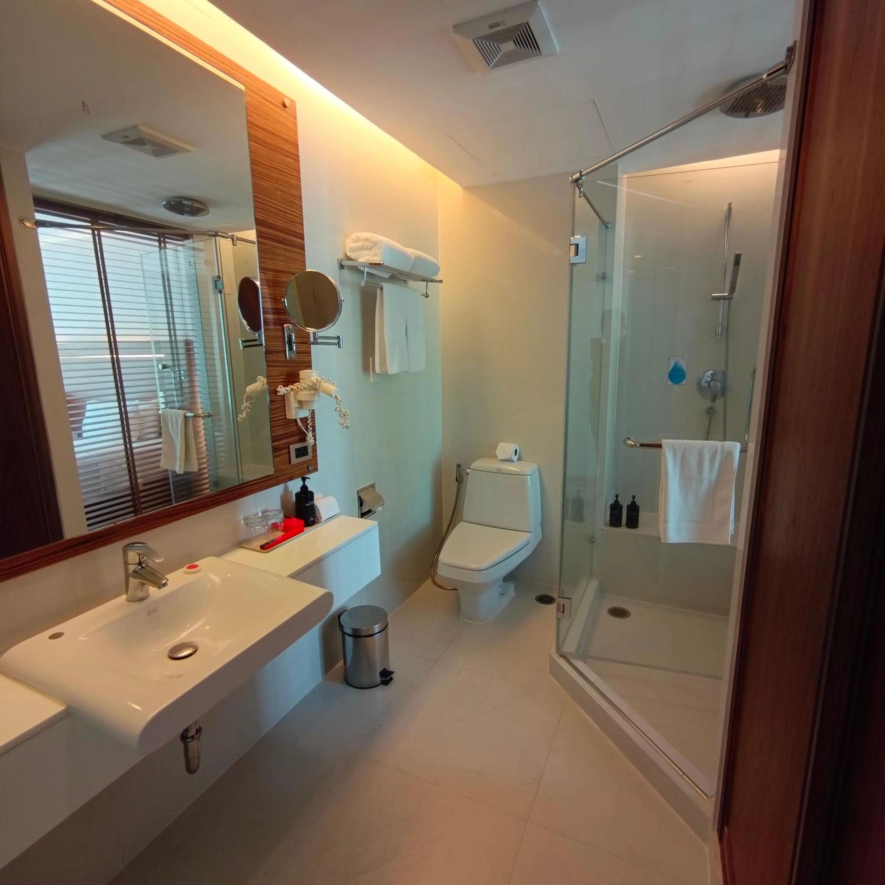 Shower in Sacha's Hotel Uno