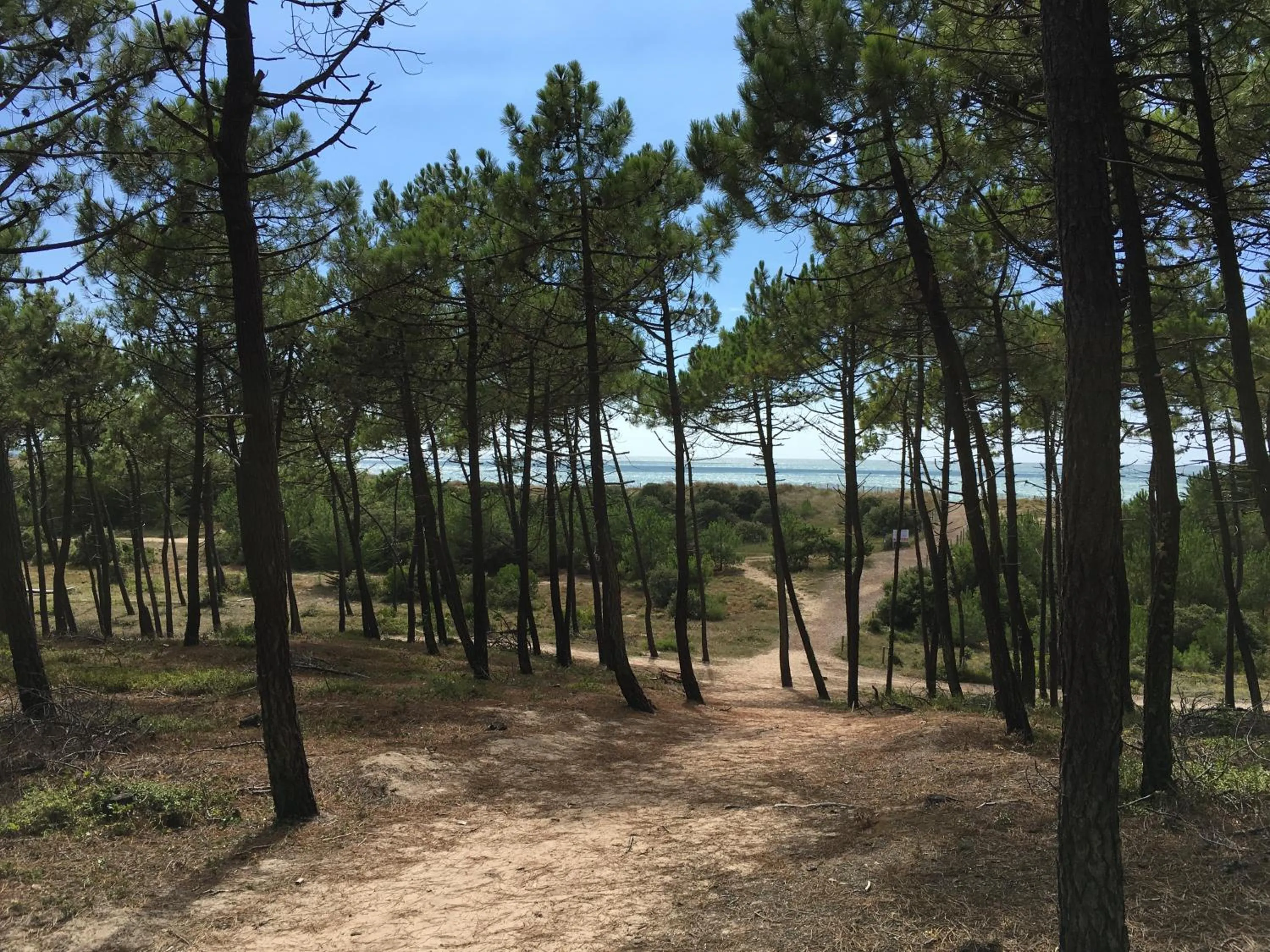 Hiking in The Corner Noirmoutier