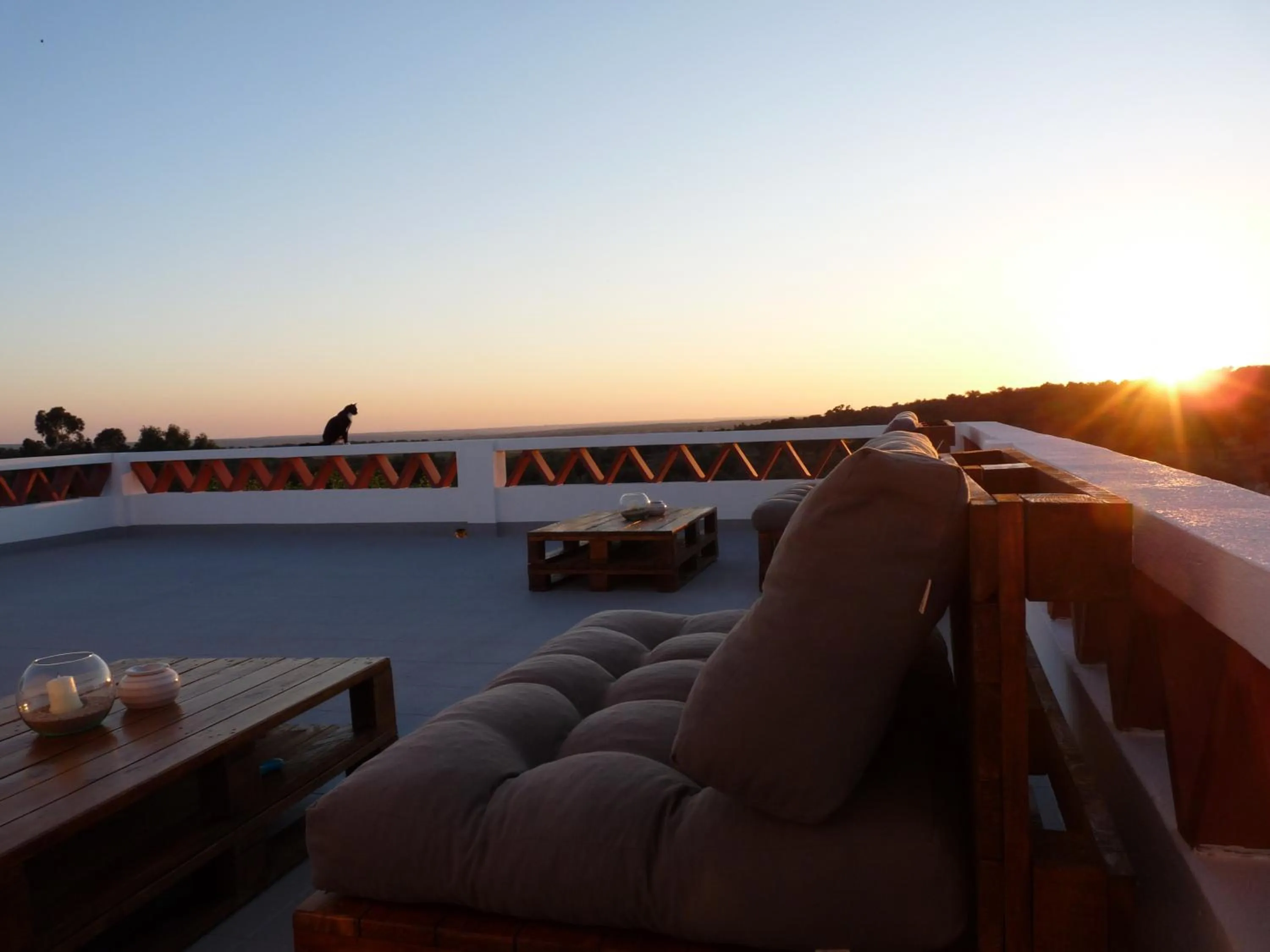 Balcony/Terrace in MirArte