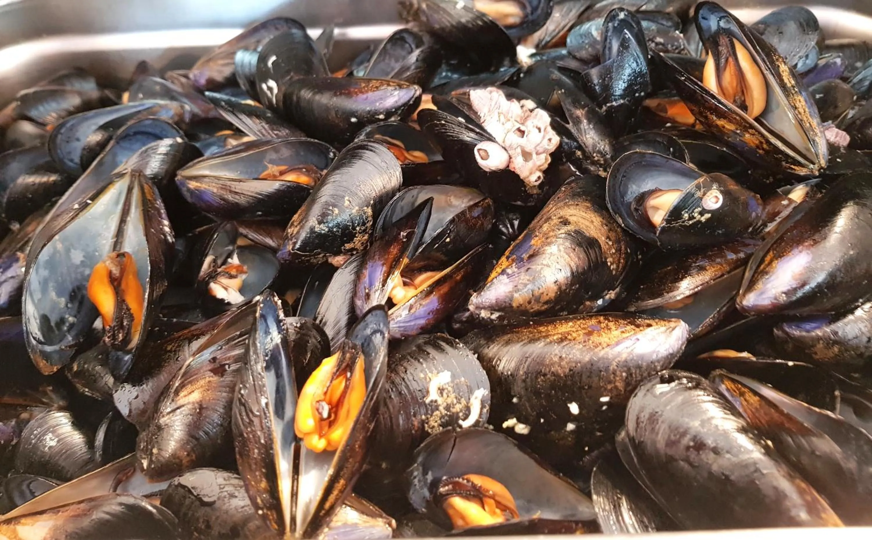 Food close-up in Hotel Helvetia