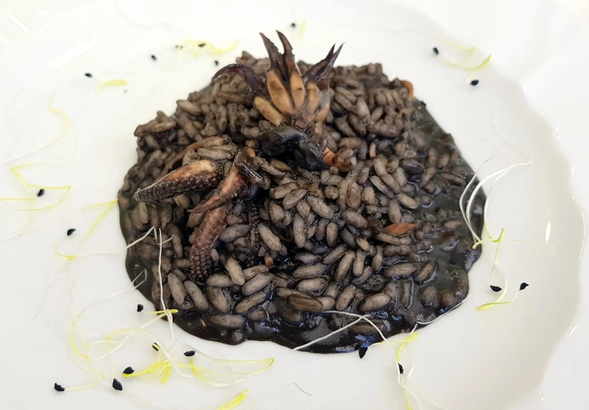 Food and drinks in Hotel Helvetia