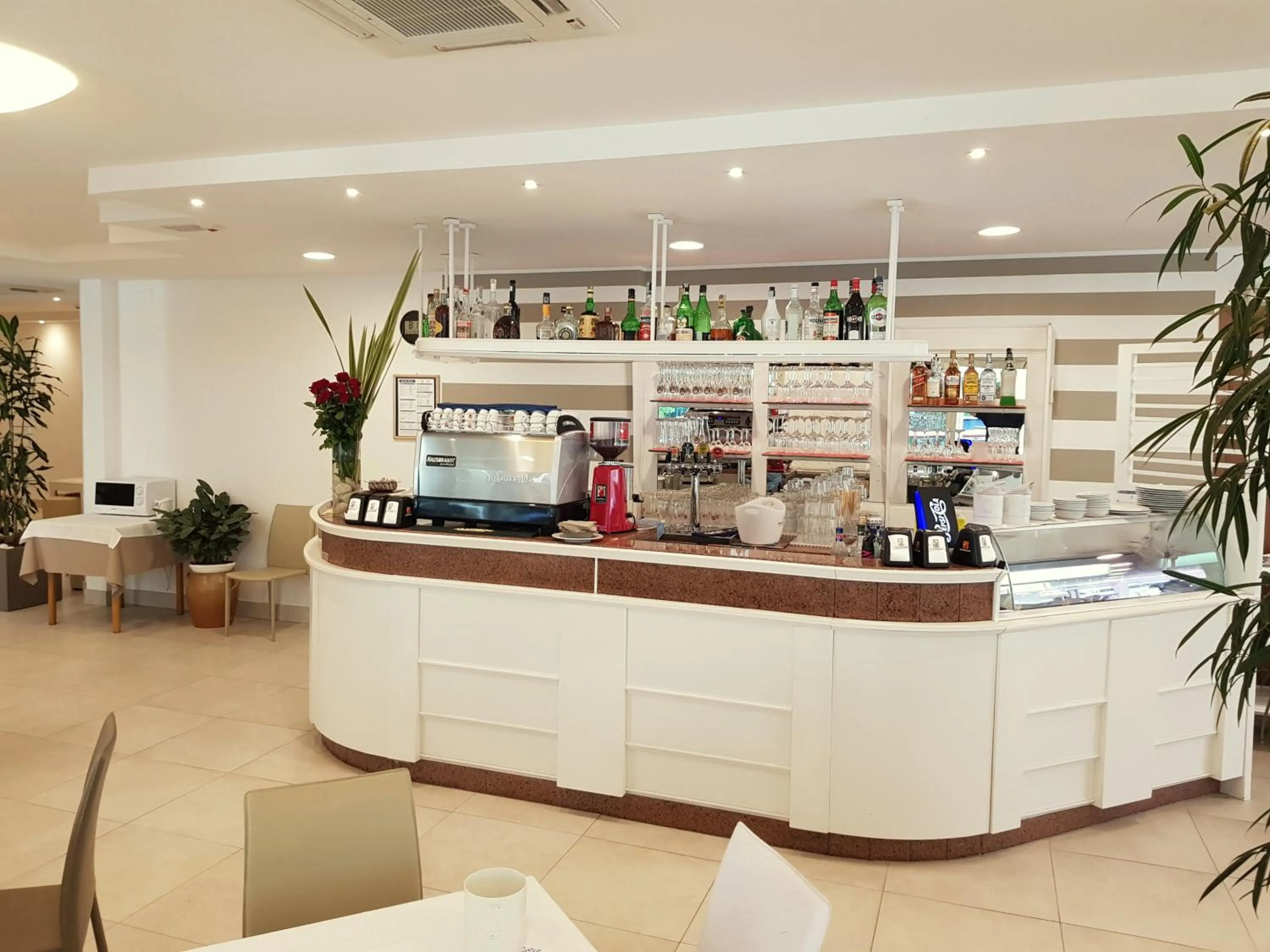 Lounge or bar in Hotel Helvetia