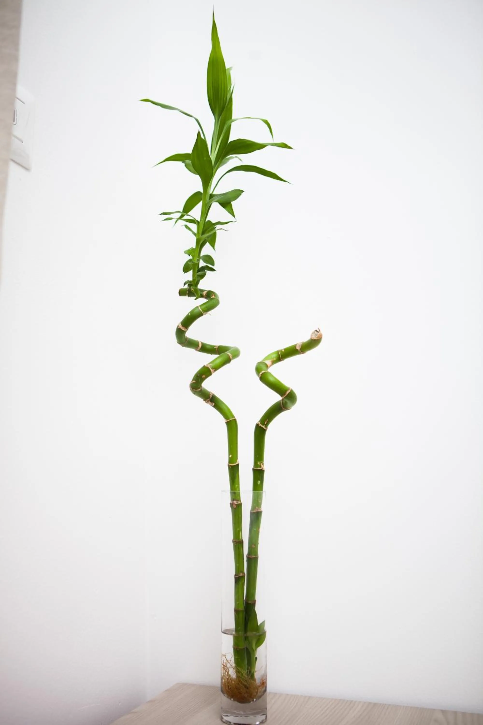 Decorative detail in Le Tre Lune Suites