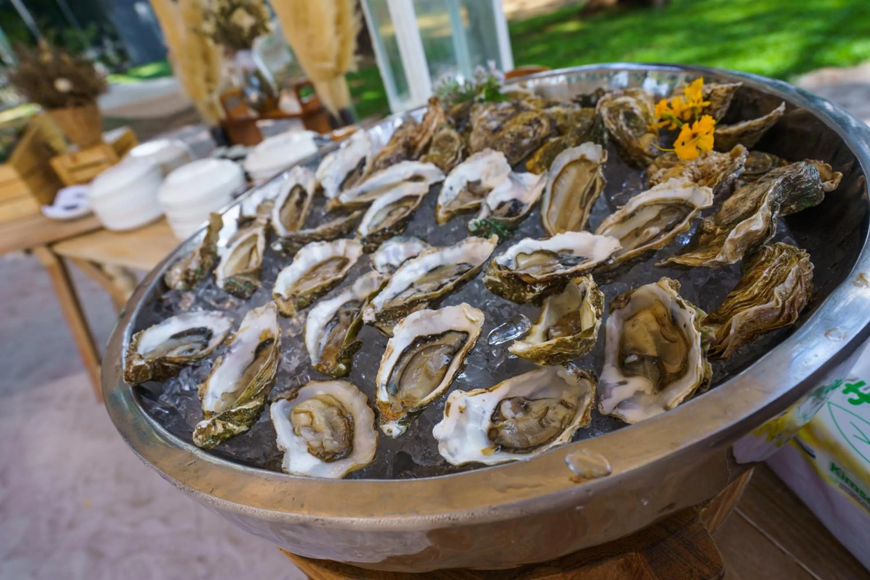 Lounge or bar in SALA Phuket Mai Khao Beach Resort
