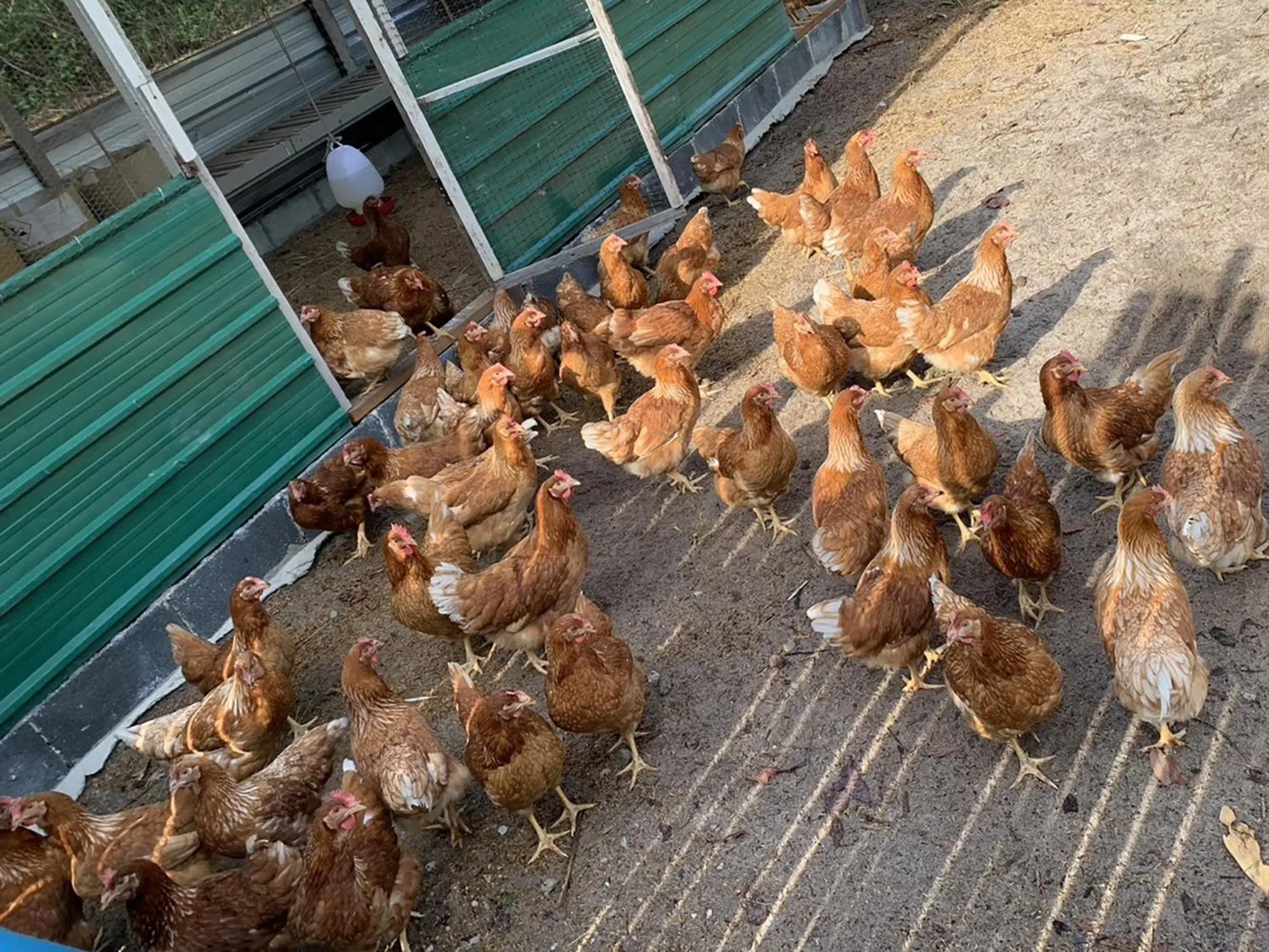 Activities in SALA Phuket Mai Khao Beach Resort