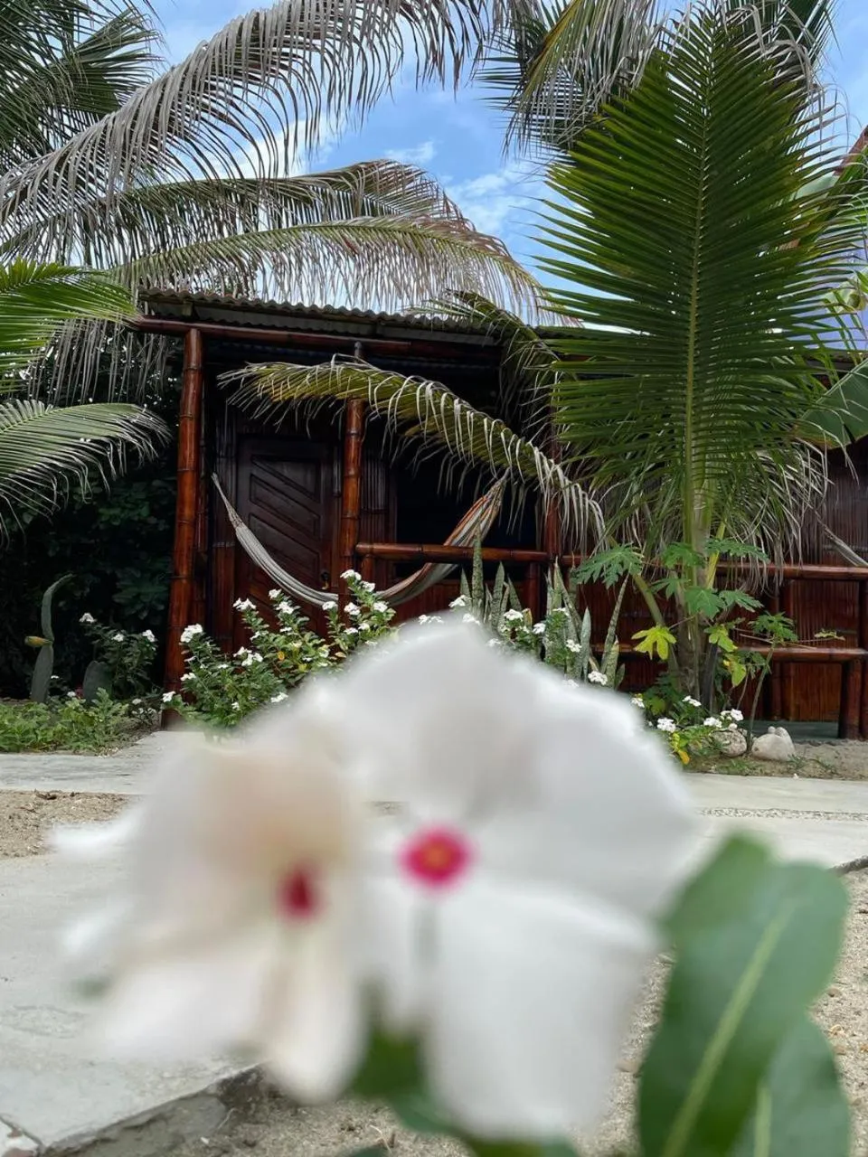 Un Dia Boutique Resort