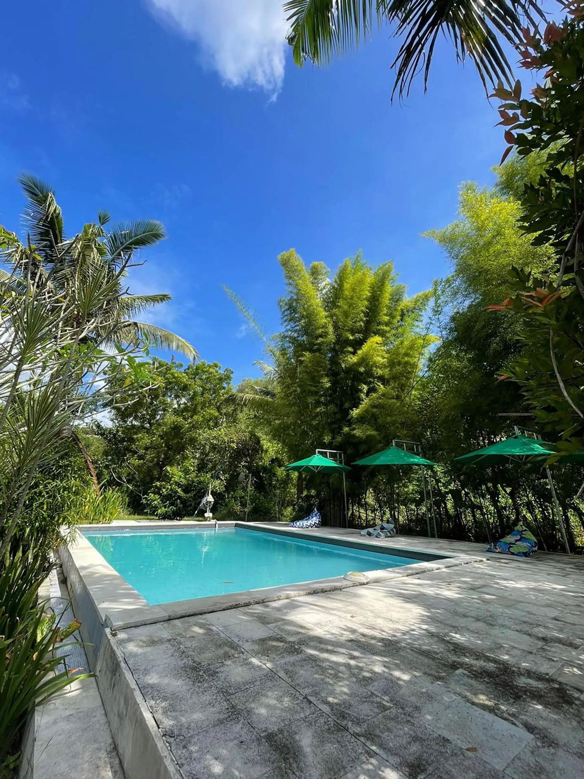 Pool view in Apit Lawang Villas & Resto