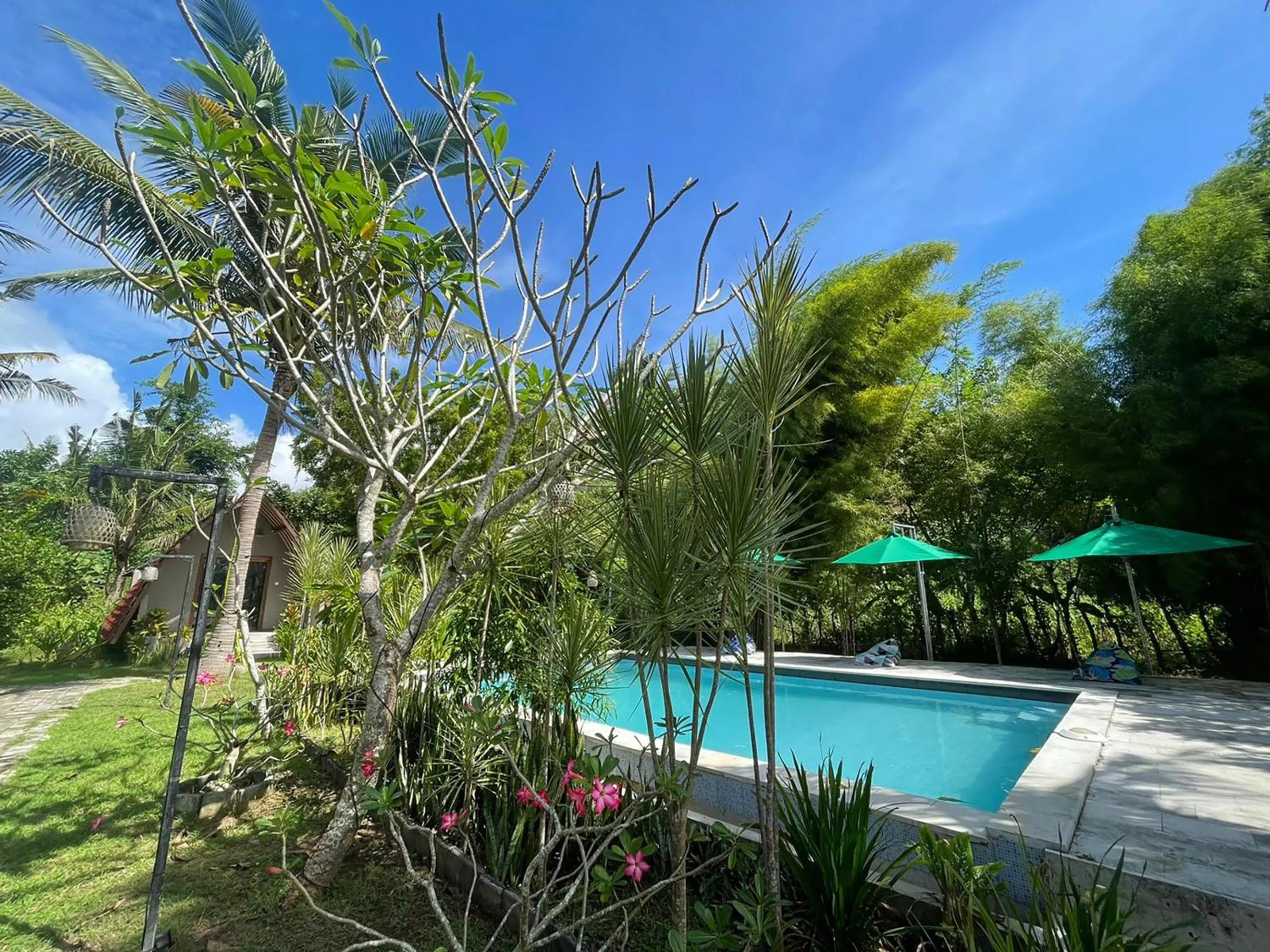 Garden in Apit Lawang Villas & Resto