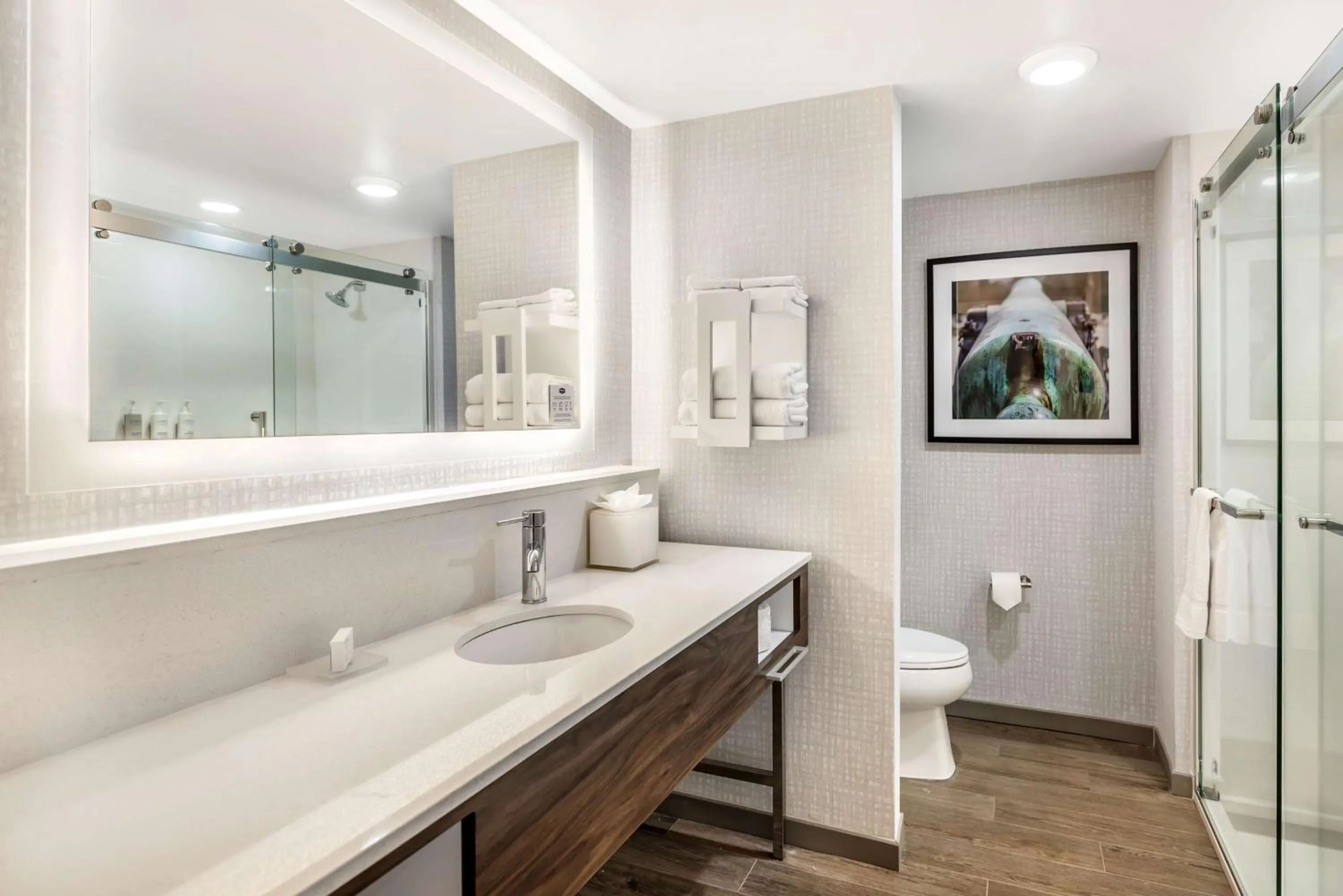 Bathroom in Hampton Inn Petersburg-Fort Lee