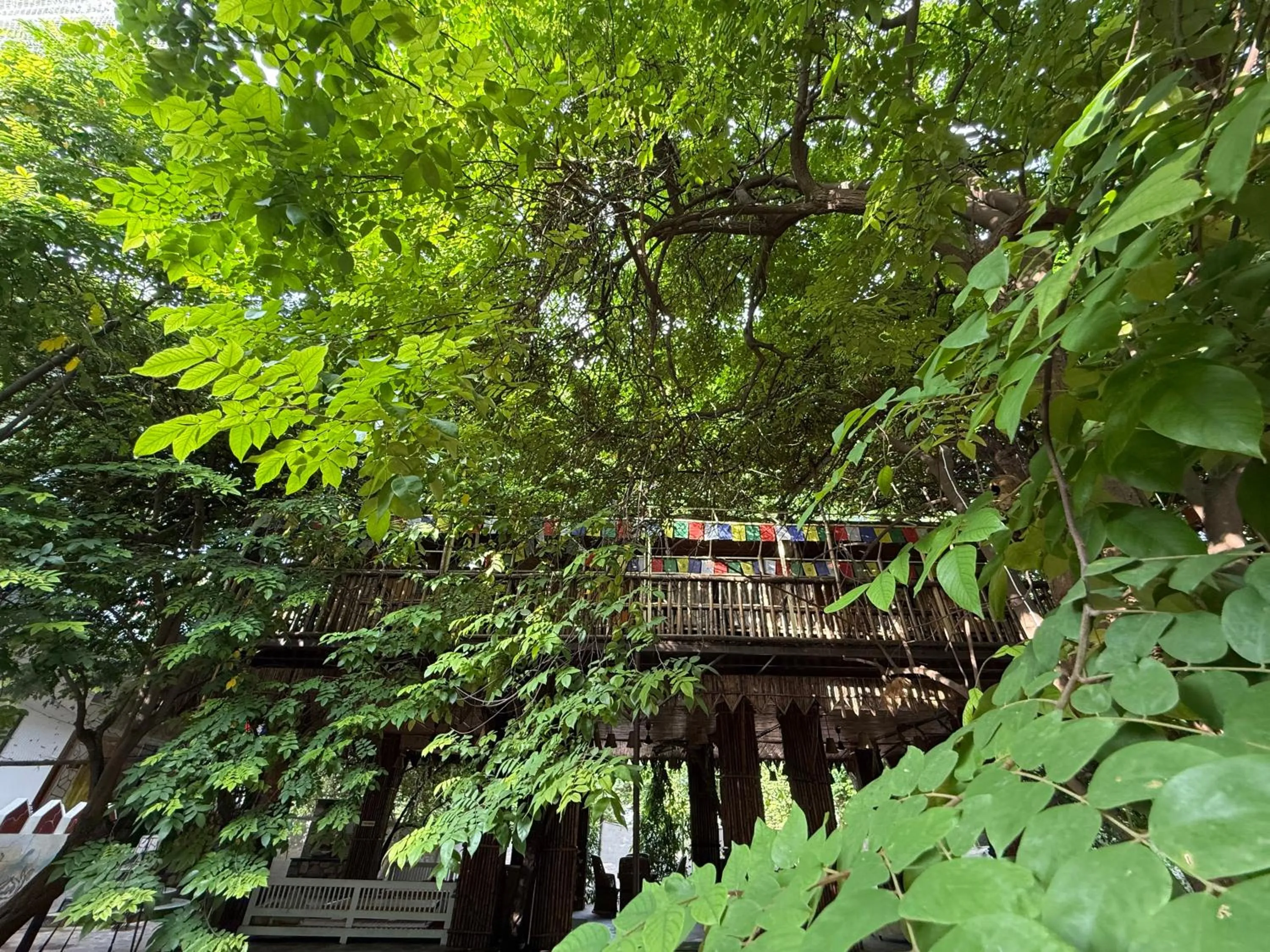 Hotel Green Heaven Resort