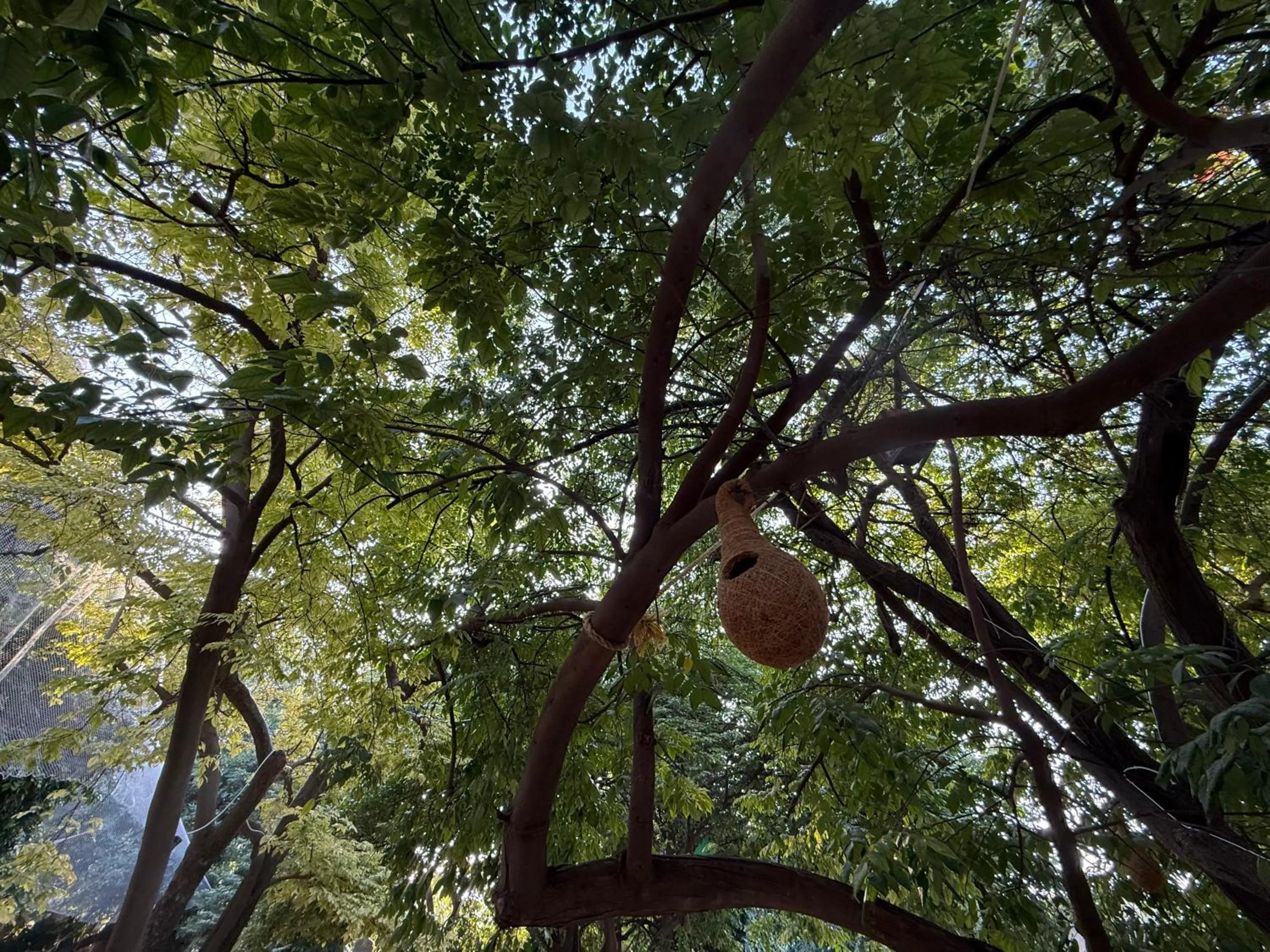 Hotel Green Heaven Resort