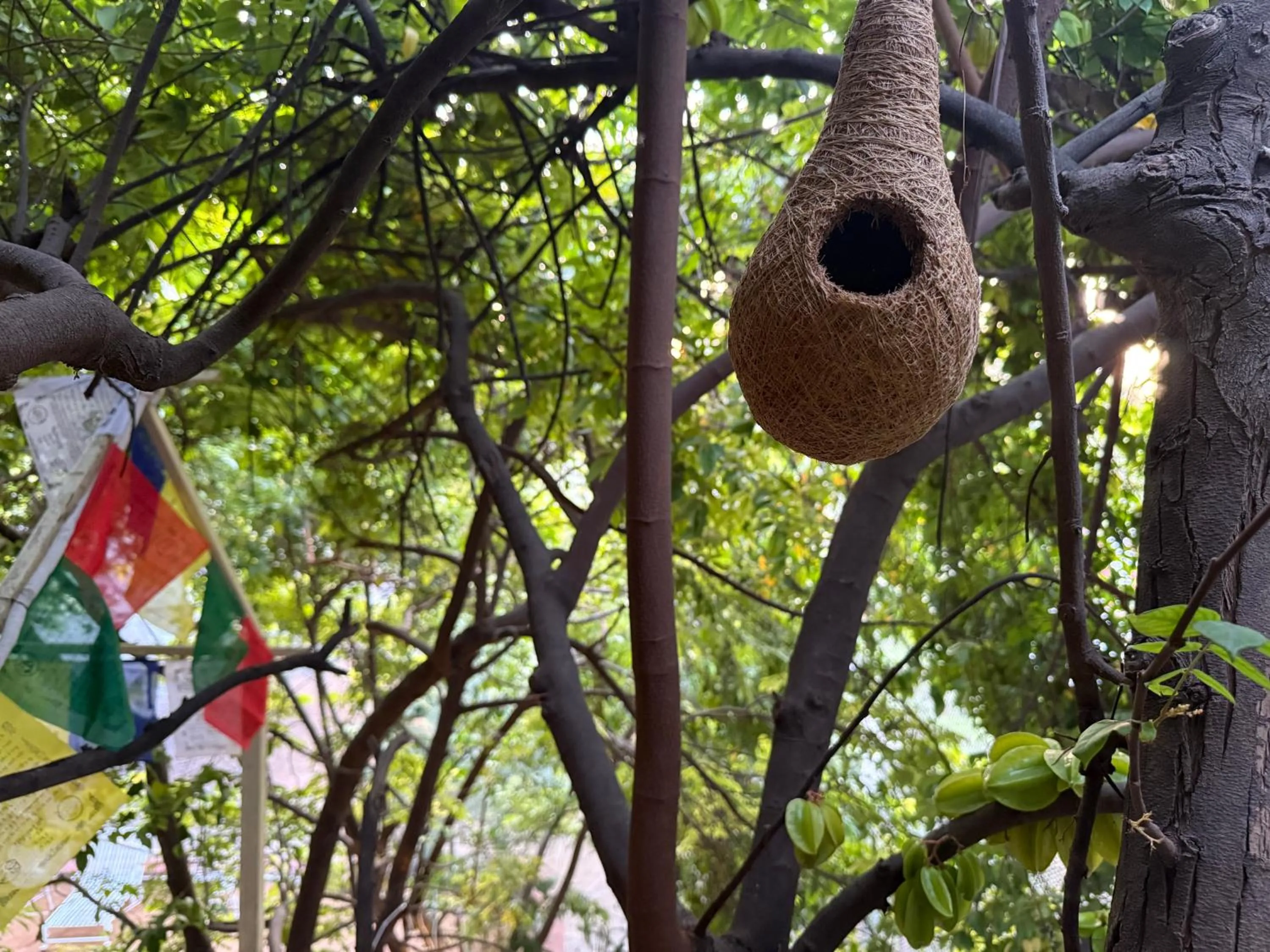 Hotel Green Heaven Resort