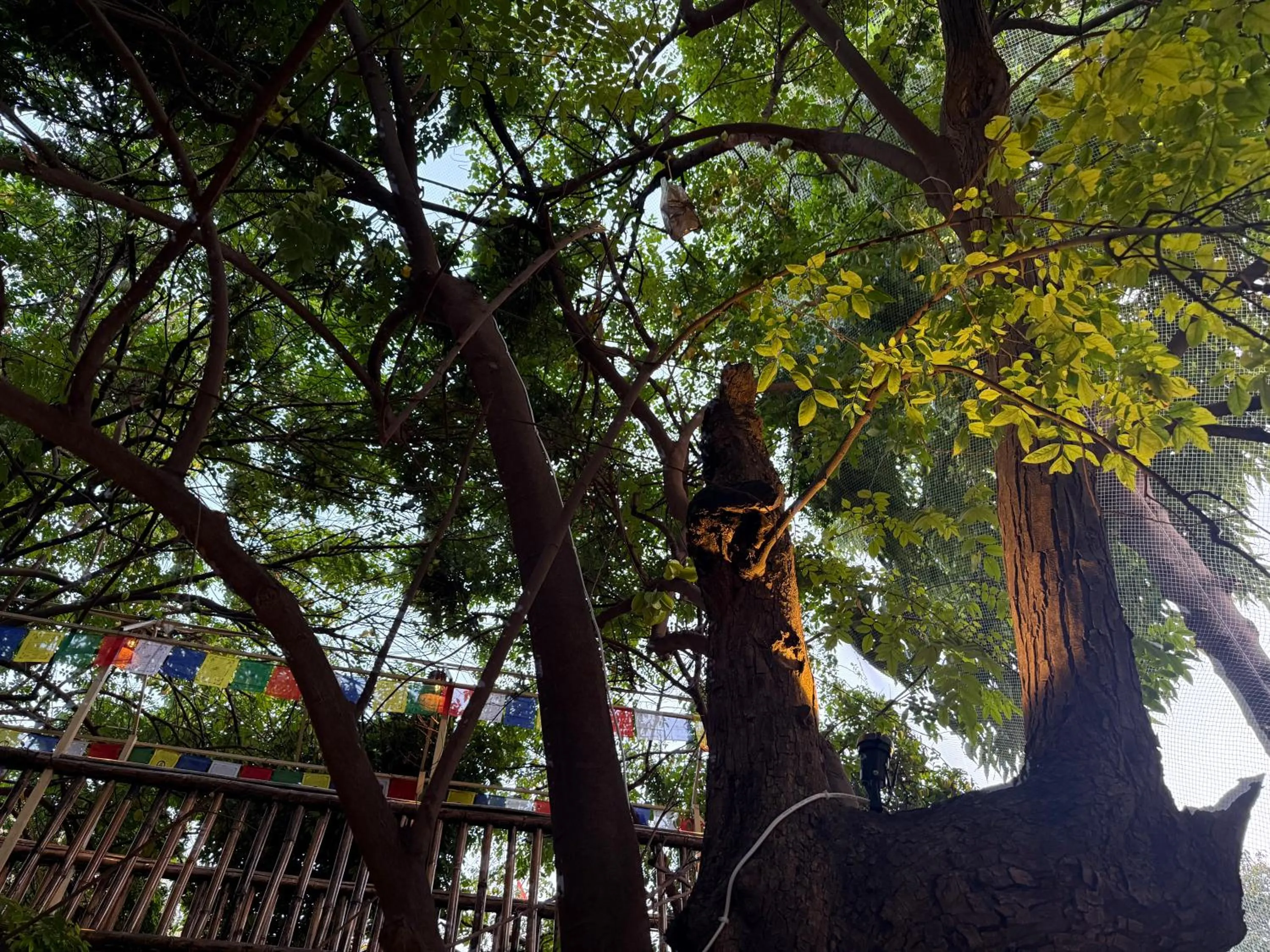 Hotel Green Heaven Resort