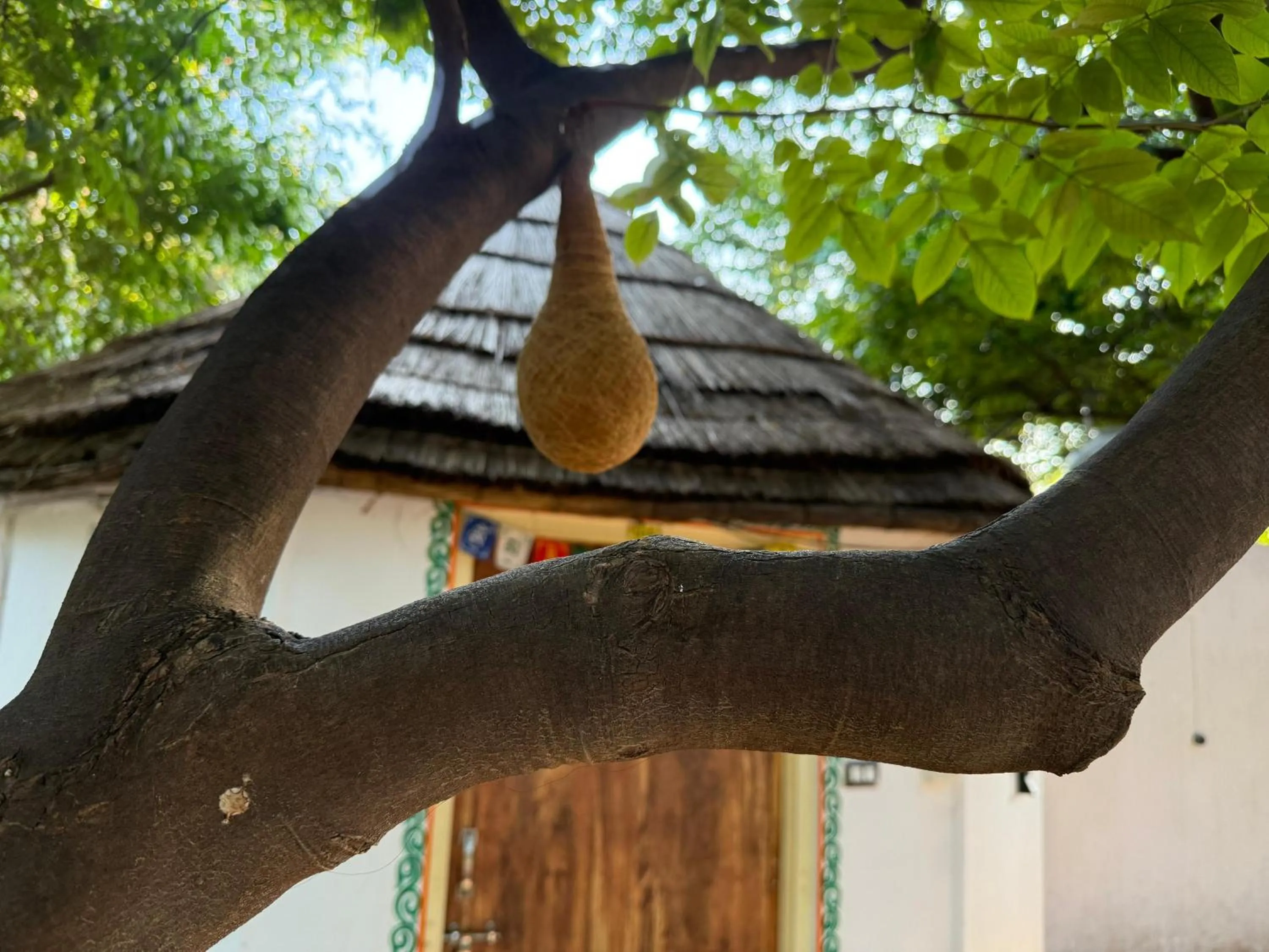 View (from property/room) in Hotel Green Heaven Resort