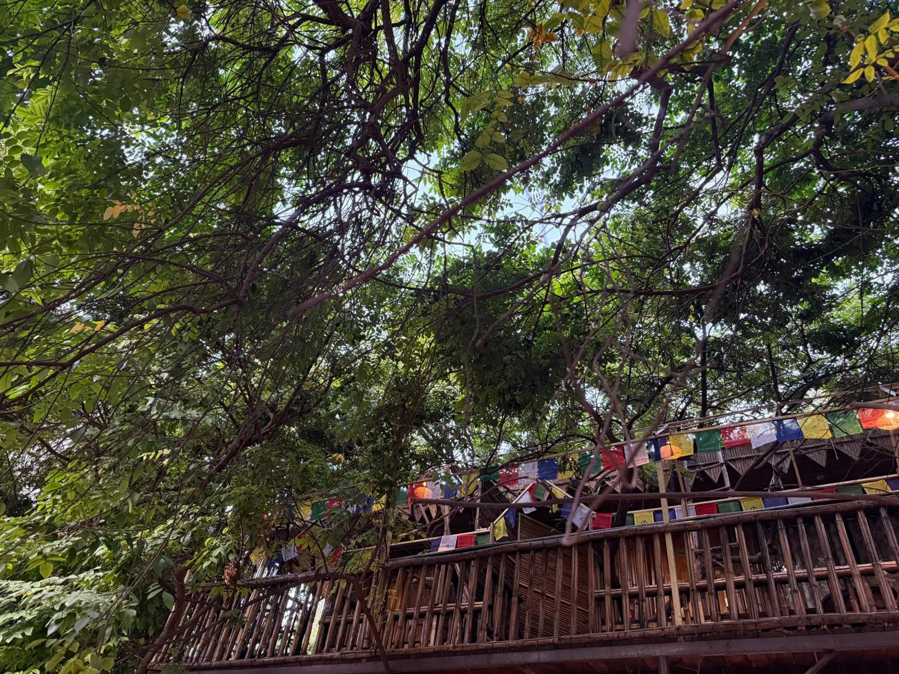 Hotel Green Heaven Resort