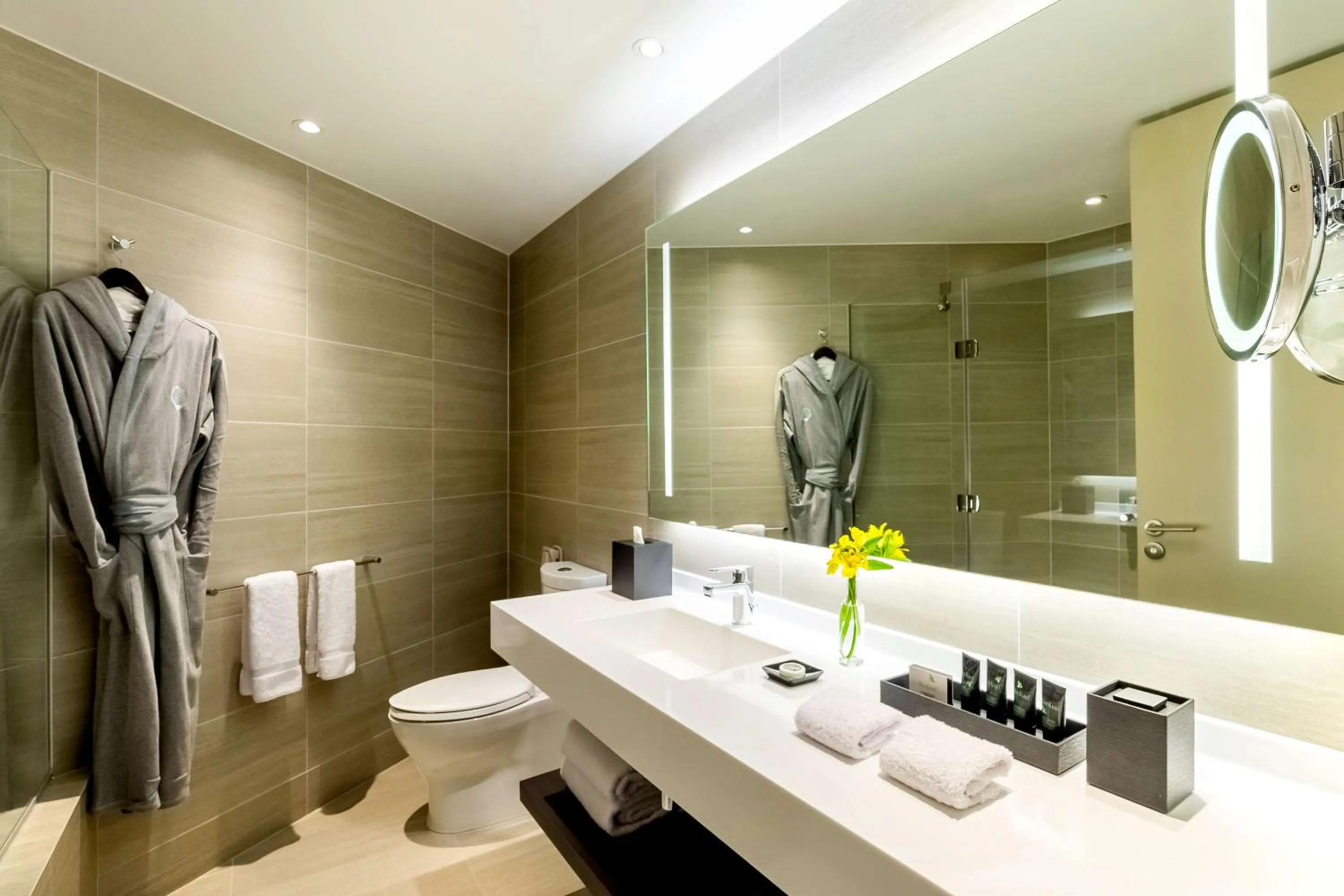 Bathroom in Hyatt Centric San Isidro Lima
