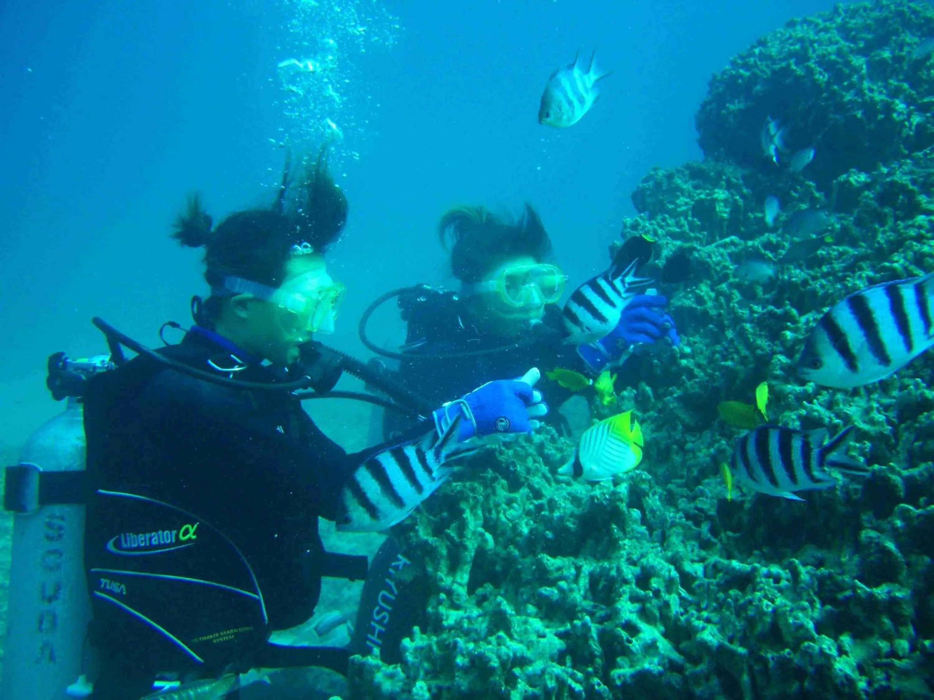 Snorkeling in Okinawa Kariyushi Beach Resort Ocean Spa