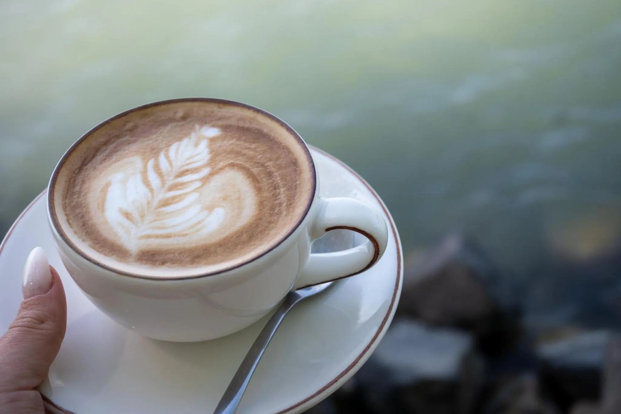 Restaurant/places to eat in Hotel Anna Villa