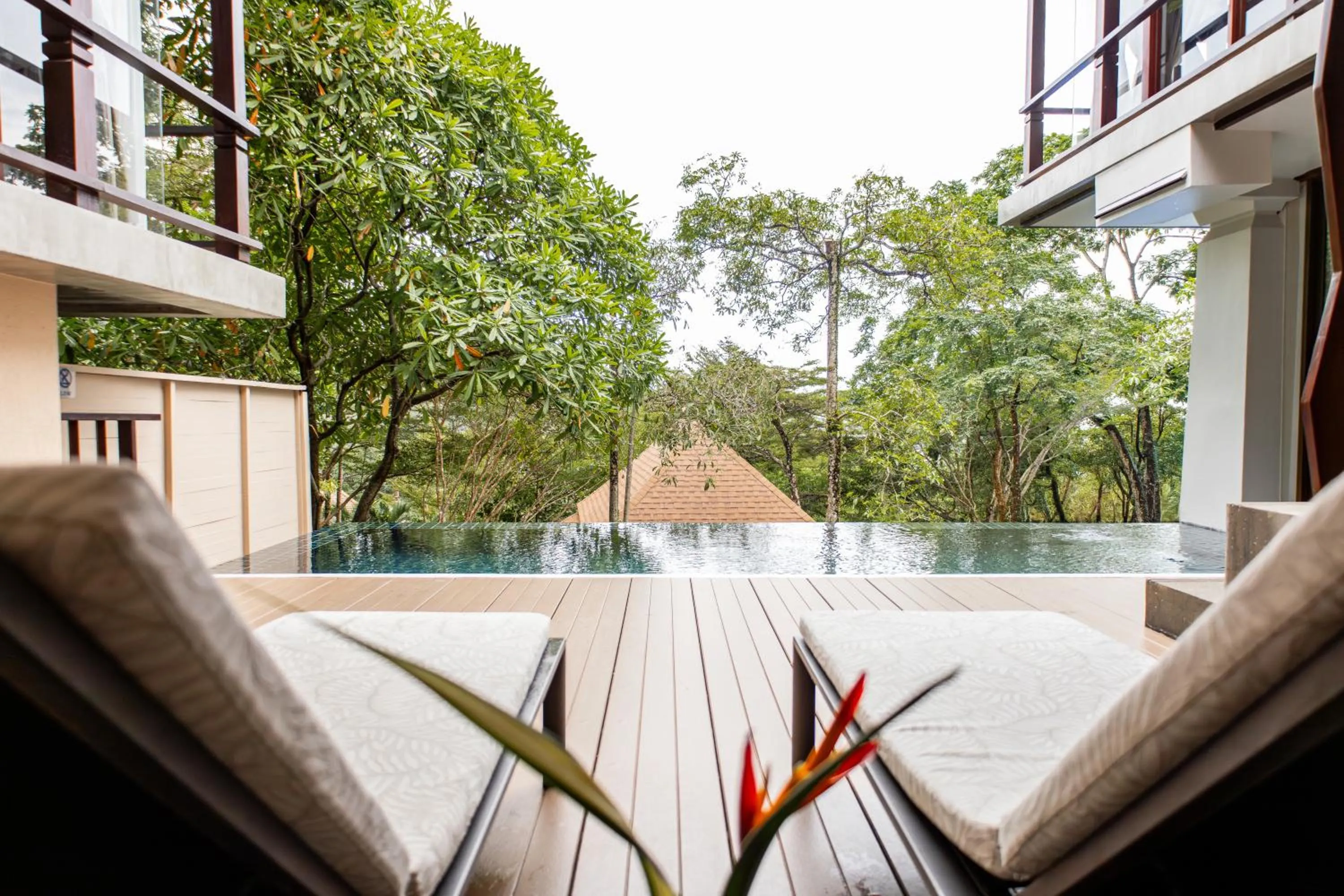 Natural landscape in Villa Zolitude Resort & Spa - SHA Extra Plus