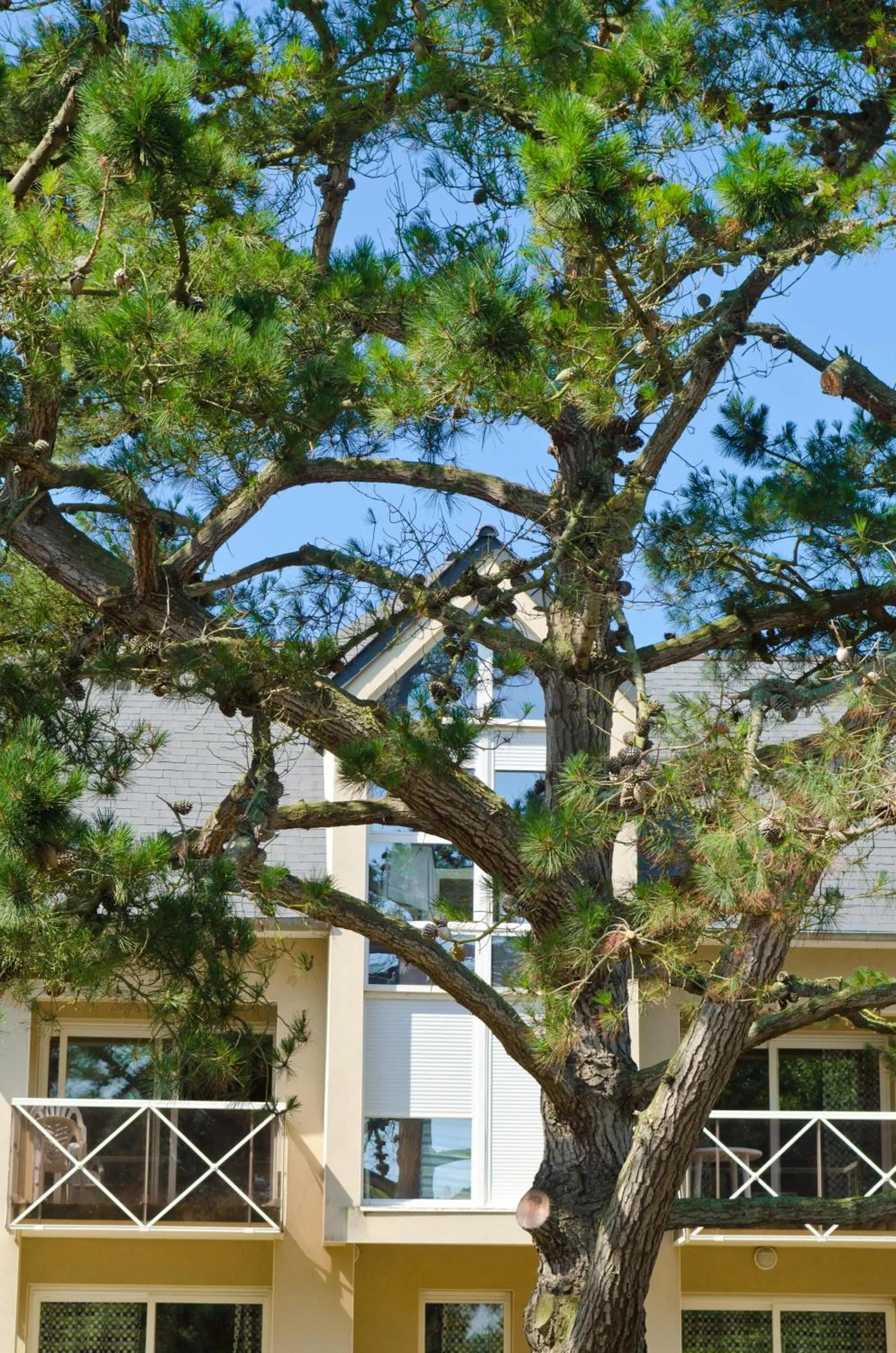 Facade/entrance in Résidence Goélia Kermaël