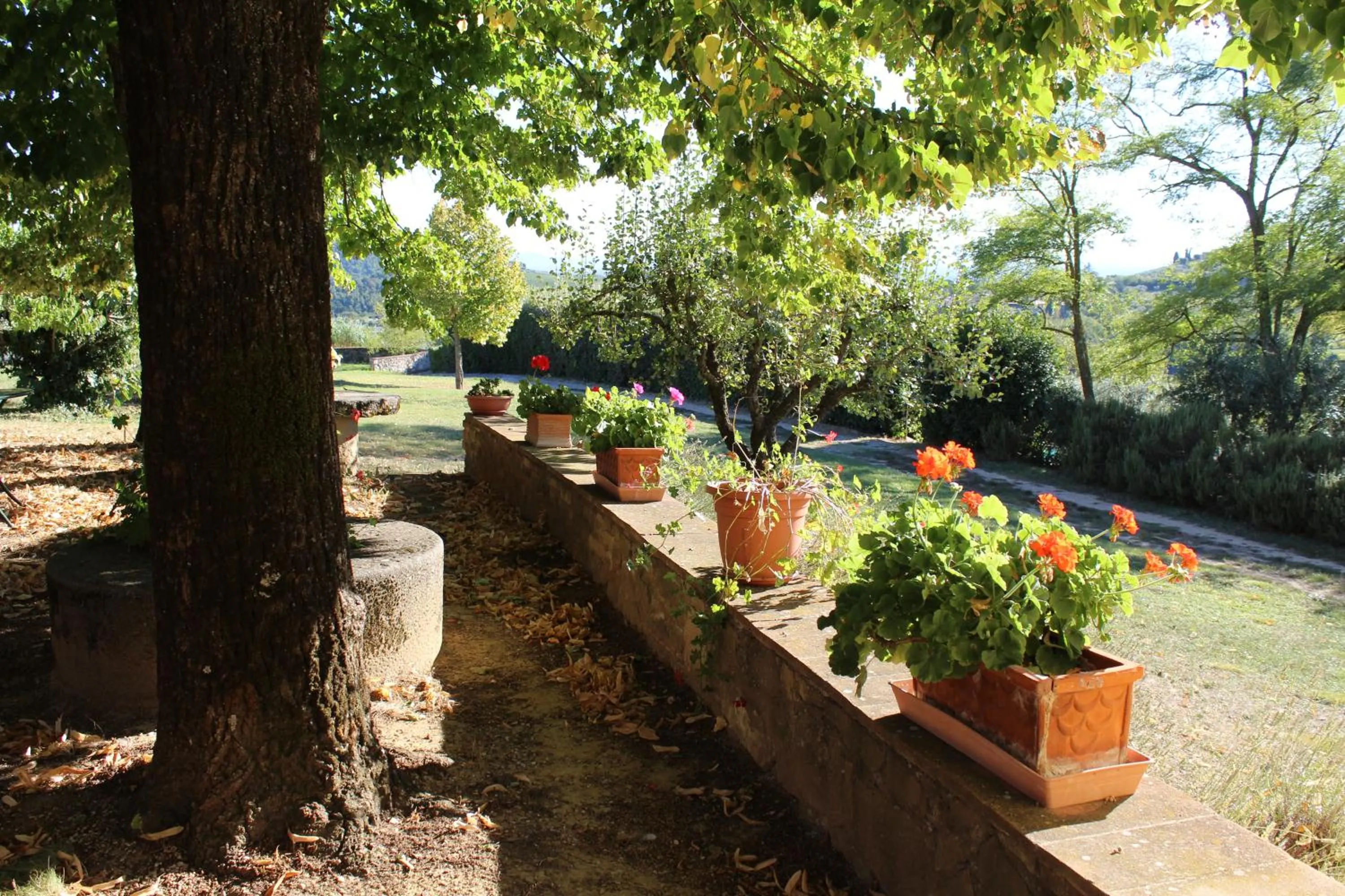 Agriturismo Torraiolo