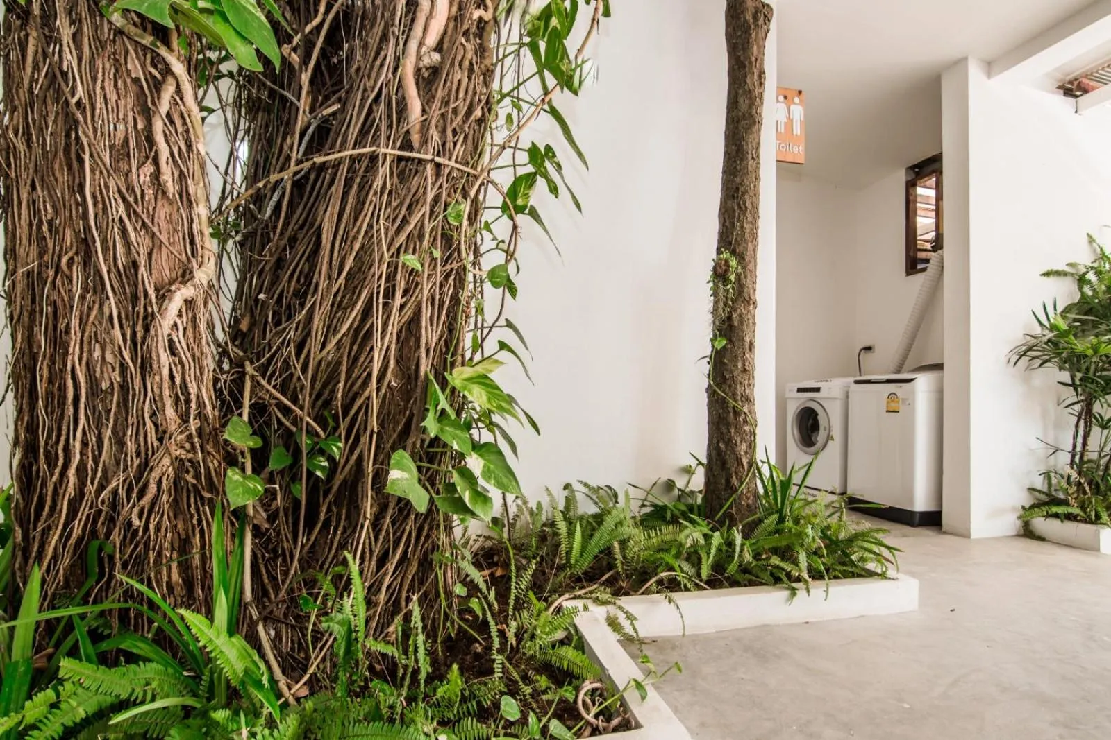 Lobby or reception in Whalecome Aonang Resort-SHA Extra Plus