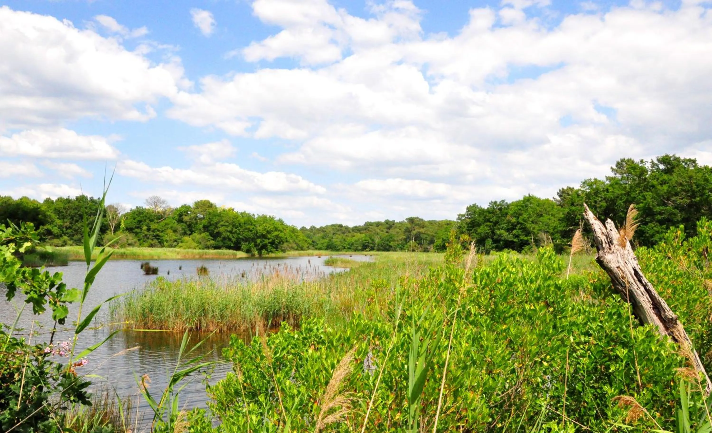 Area and facilities in Résidence Néméa Les Rives de Saint Brice
