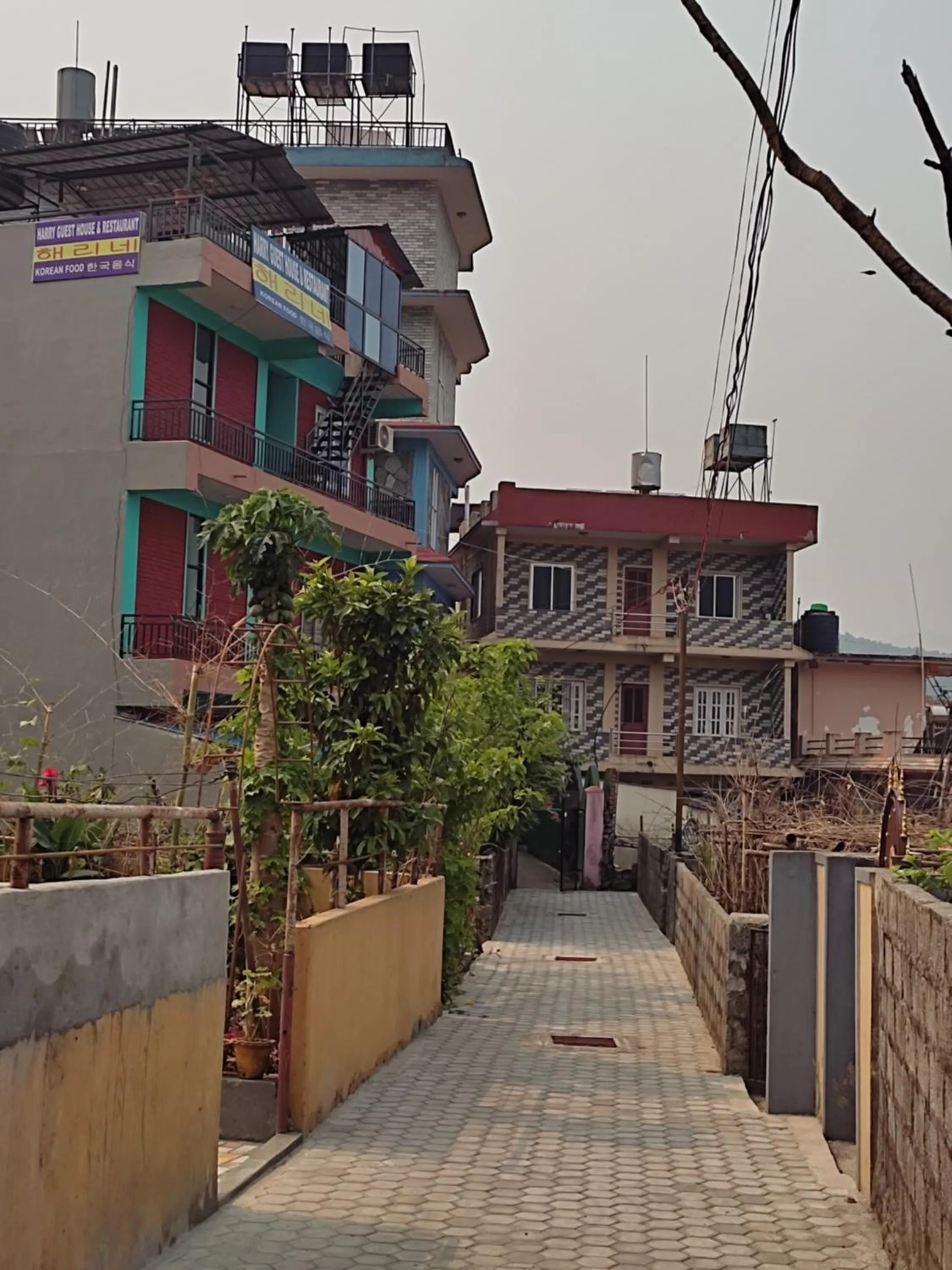 Street view in Harry Guest House & Restaurant