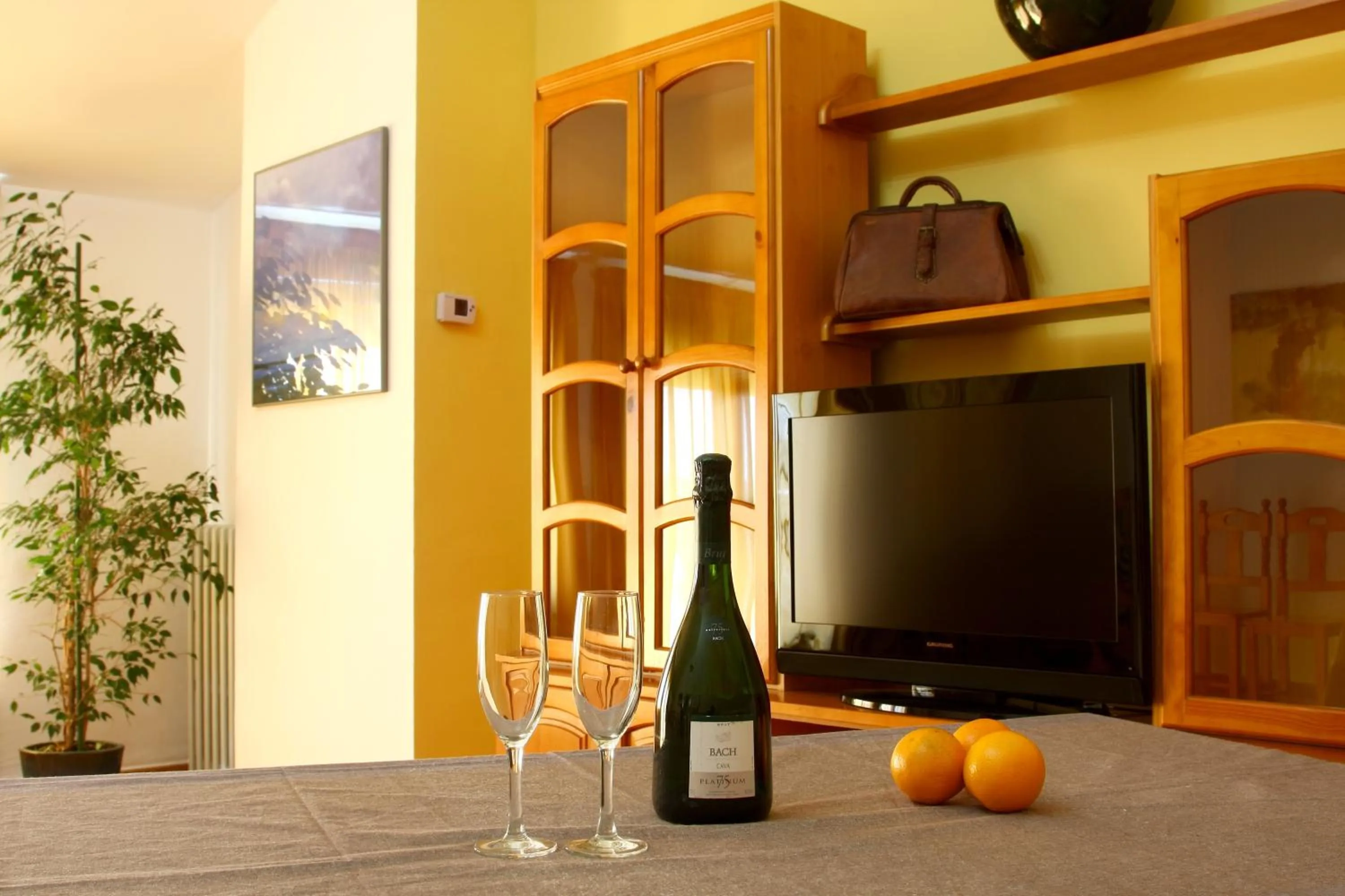 TV and multimedia in Doña Ruidera