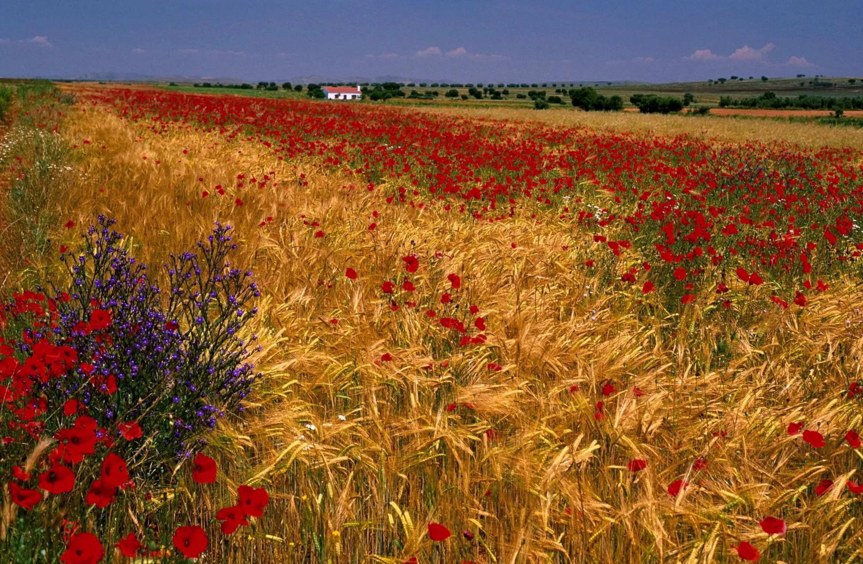 Other in Doña Ruidera