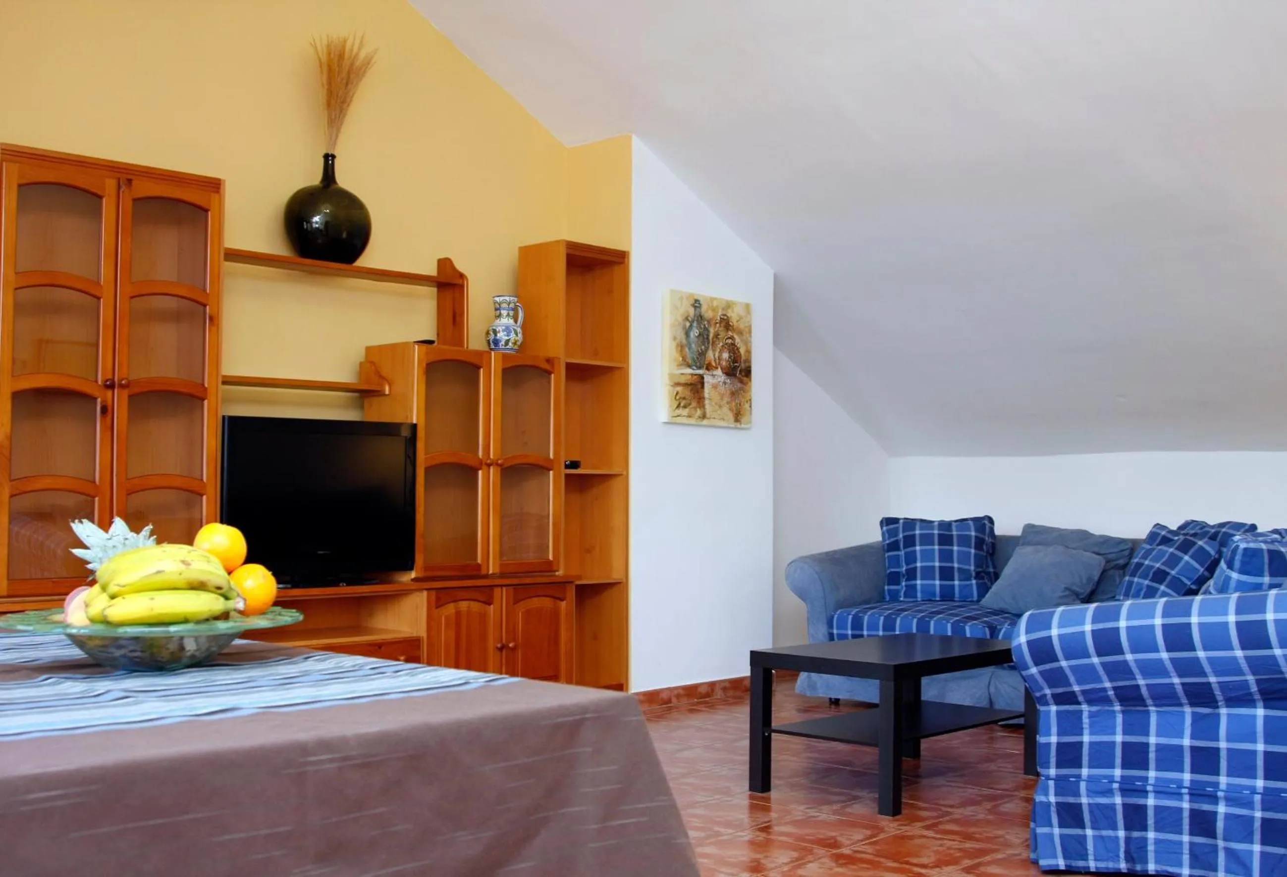 TV and multimedia in Doña Ruidera