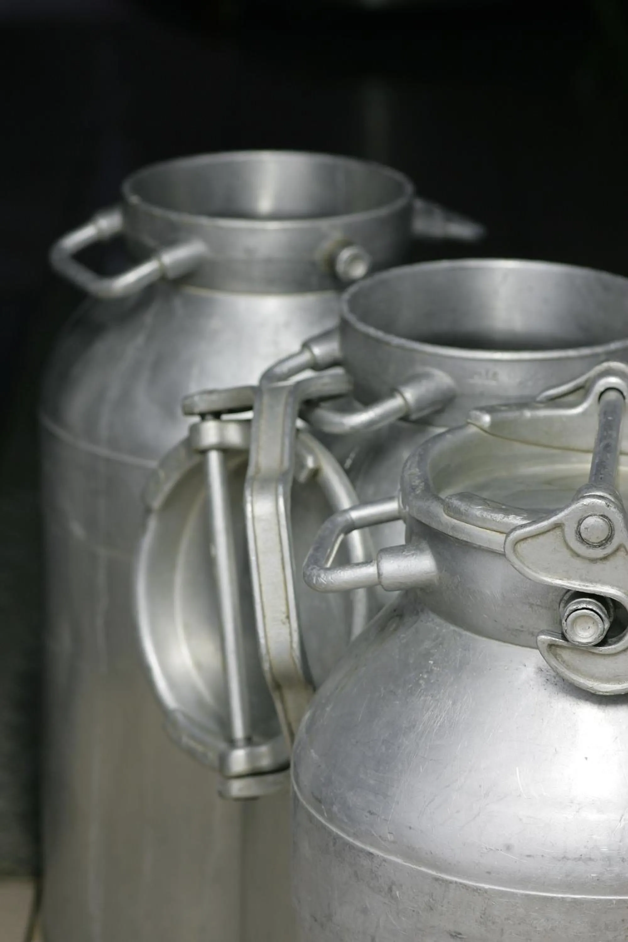 Decorative detail in Agriturismo Rini