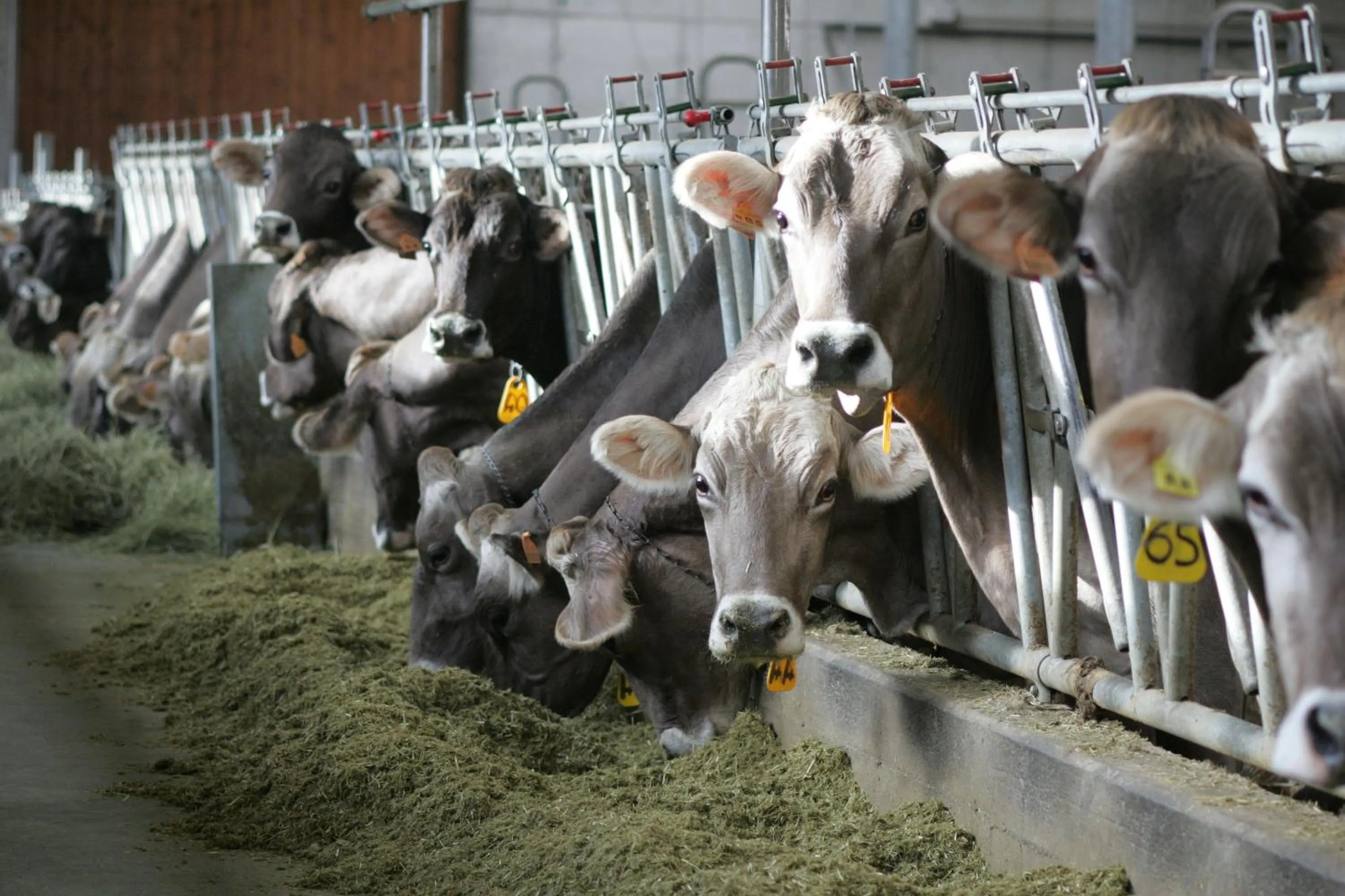 Winter in Agriturismo Rini