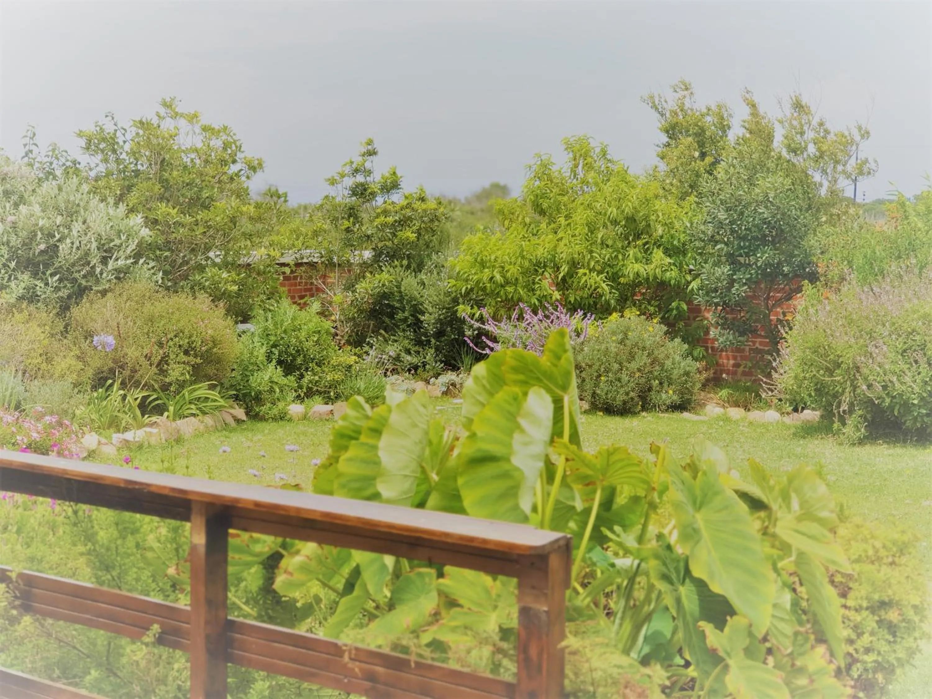 Garden in Stoneridge farm