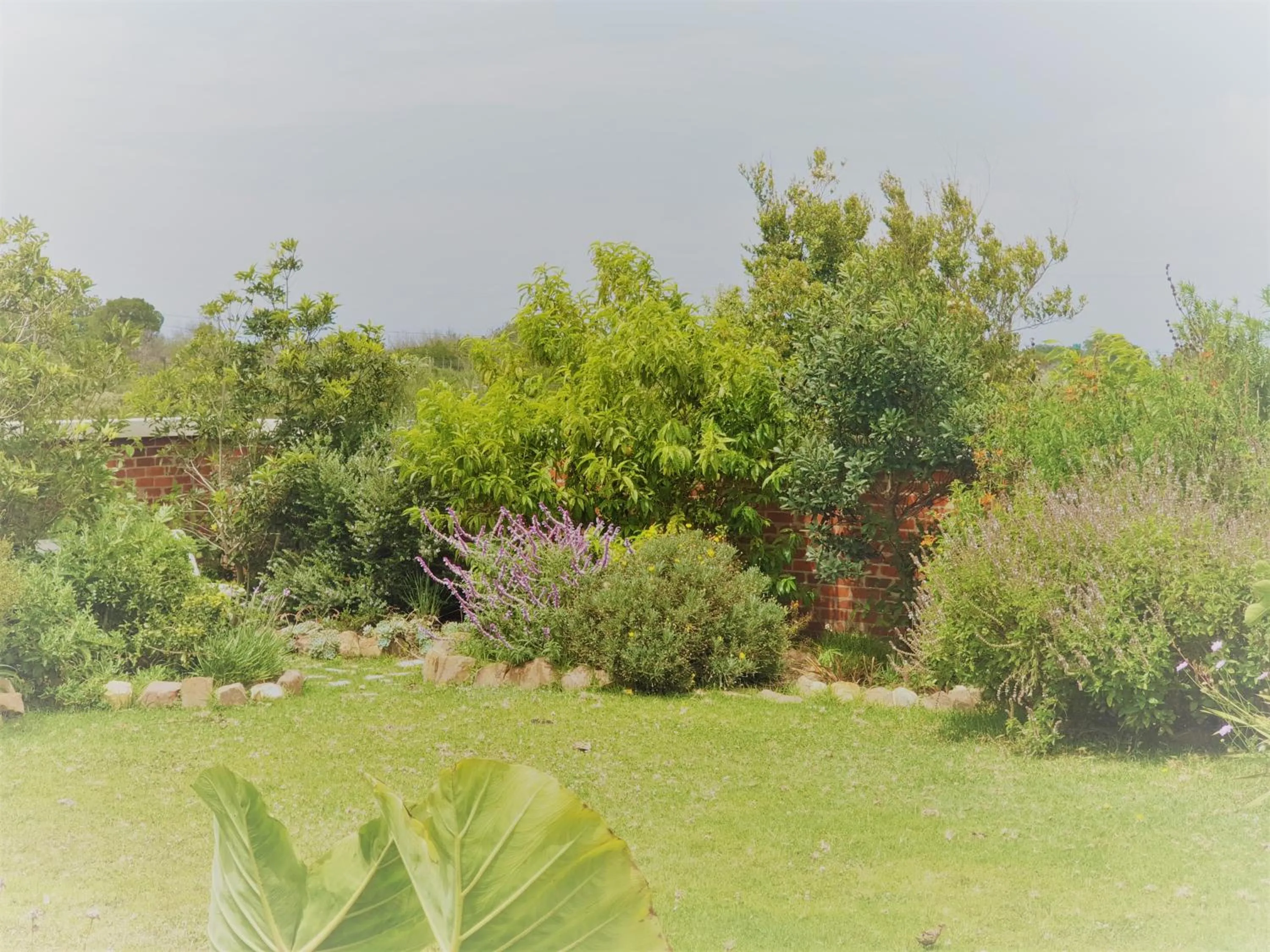 BBQ facilities in Stoneridge farm