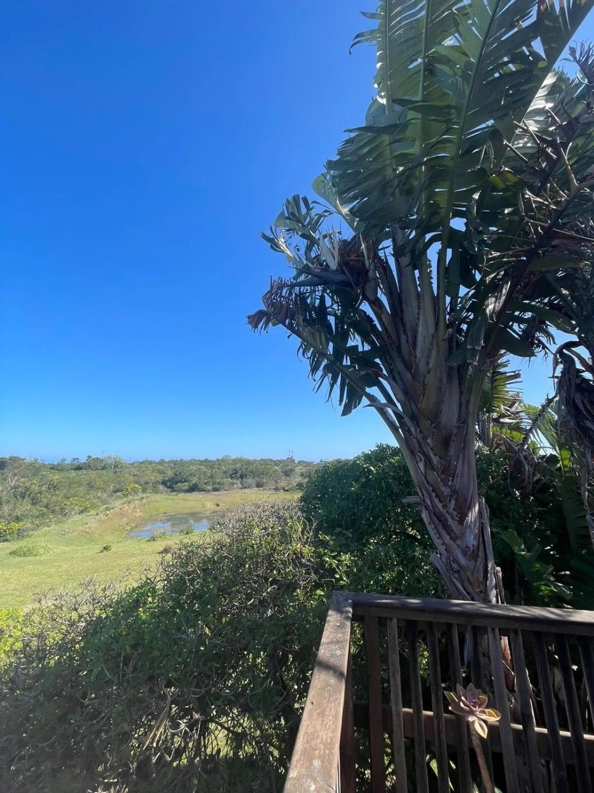 Day in Stoneridge farm