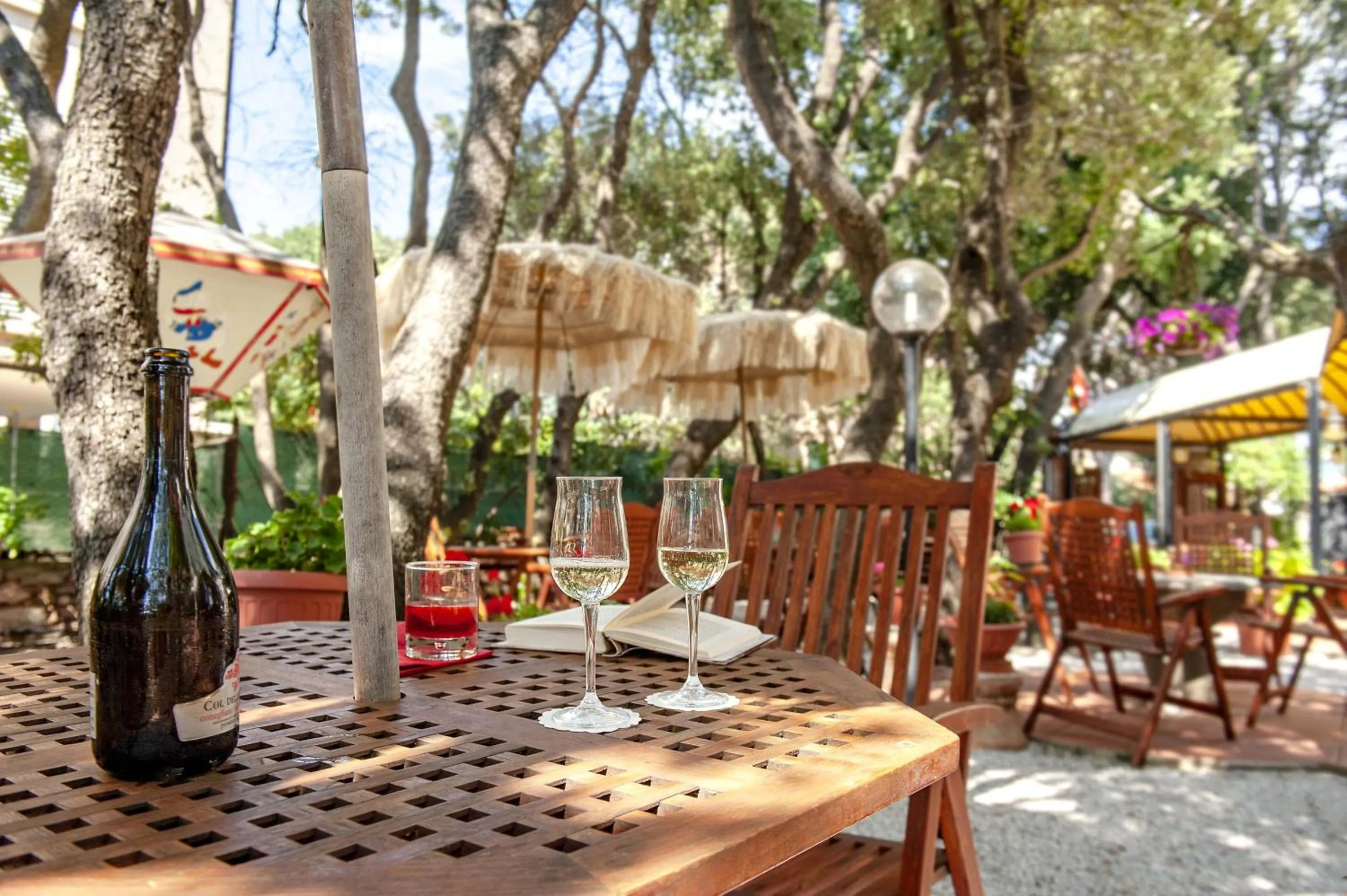 Garden in Hotel Villa Lo Scoglietto