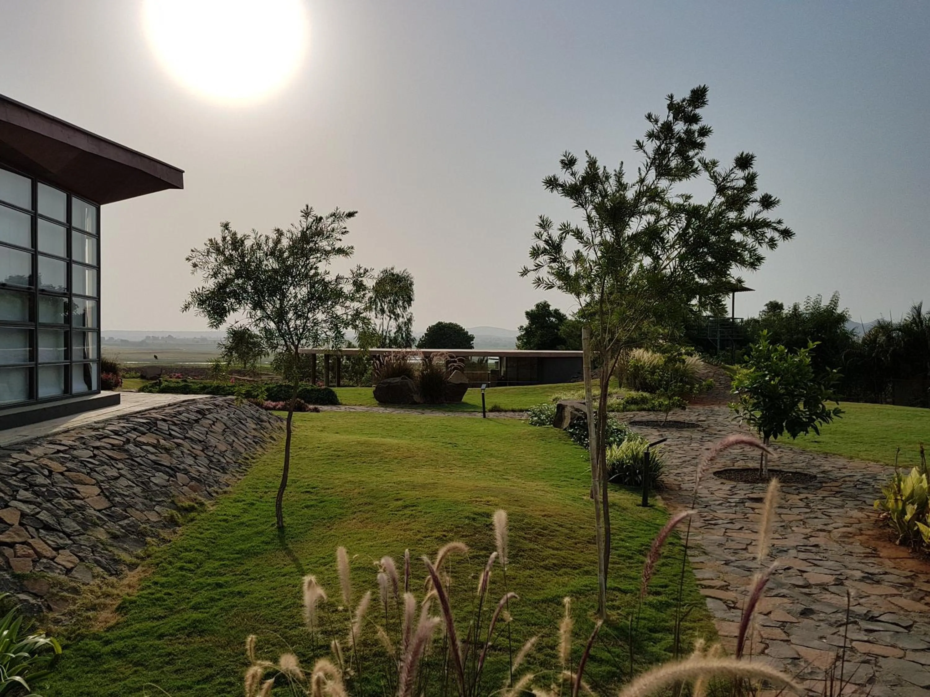 Garden in Beyond by Sula