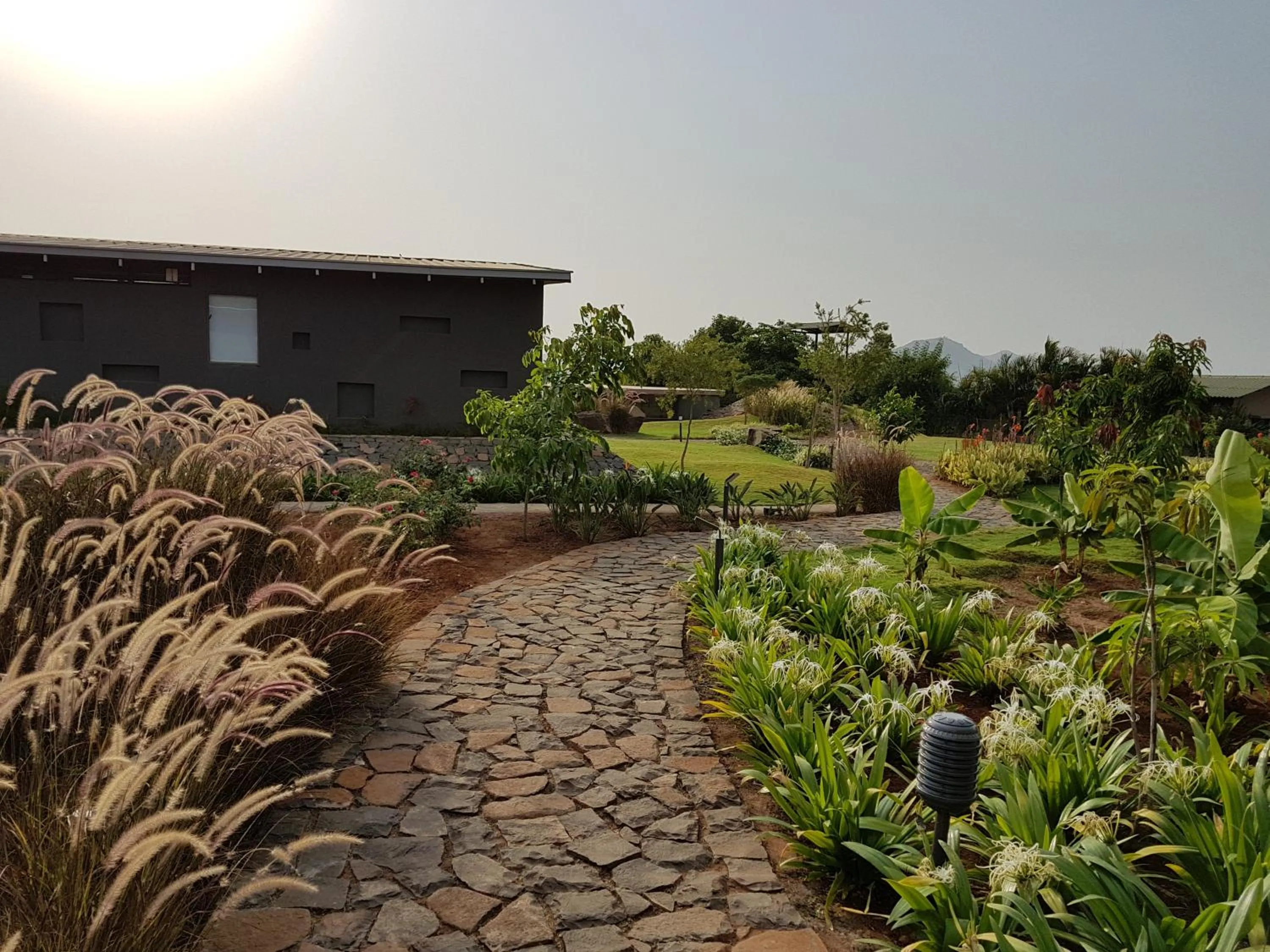 Property building in Beyond by Sula